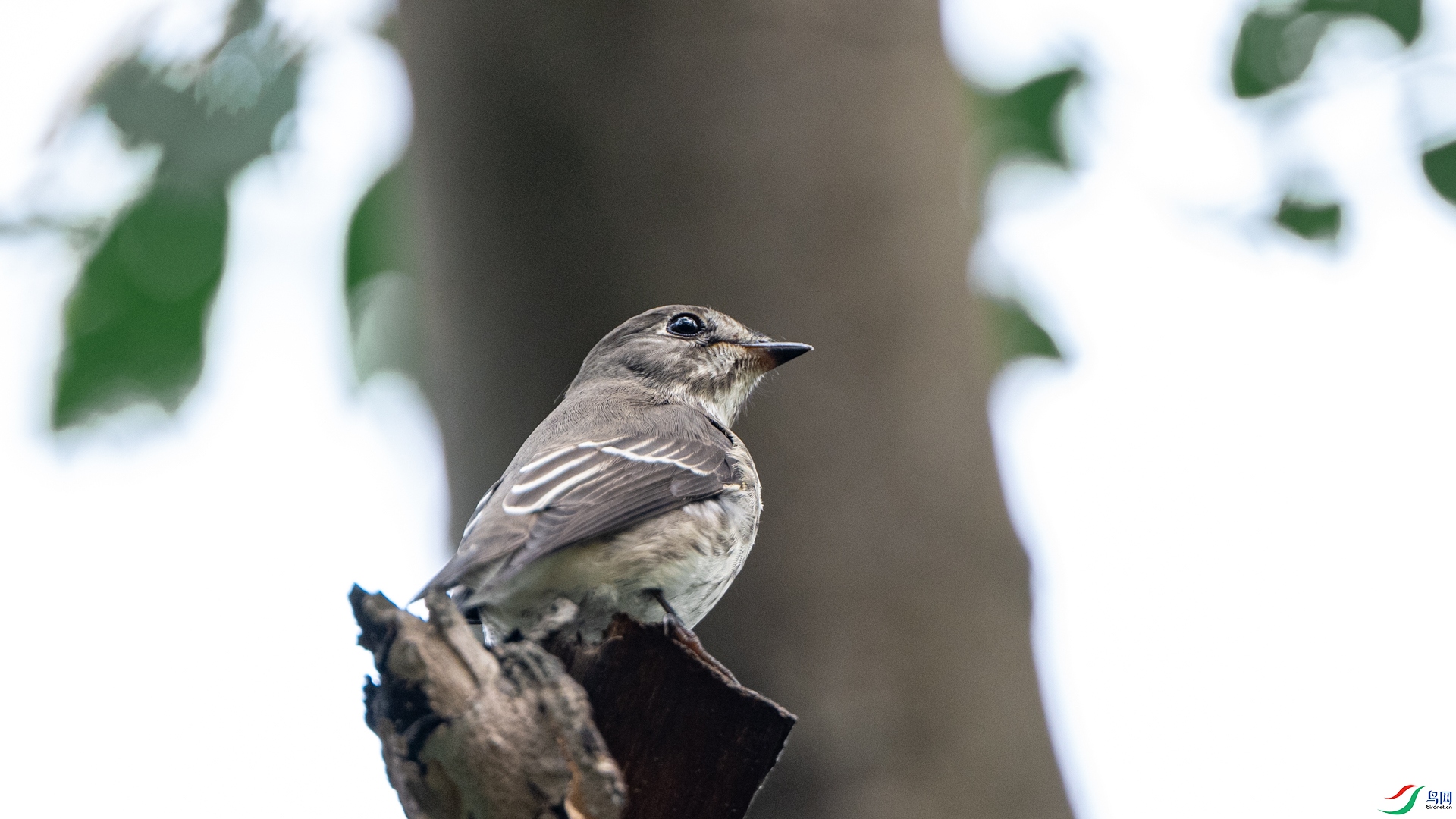 DSC_1272.jpg
