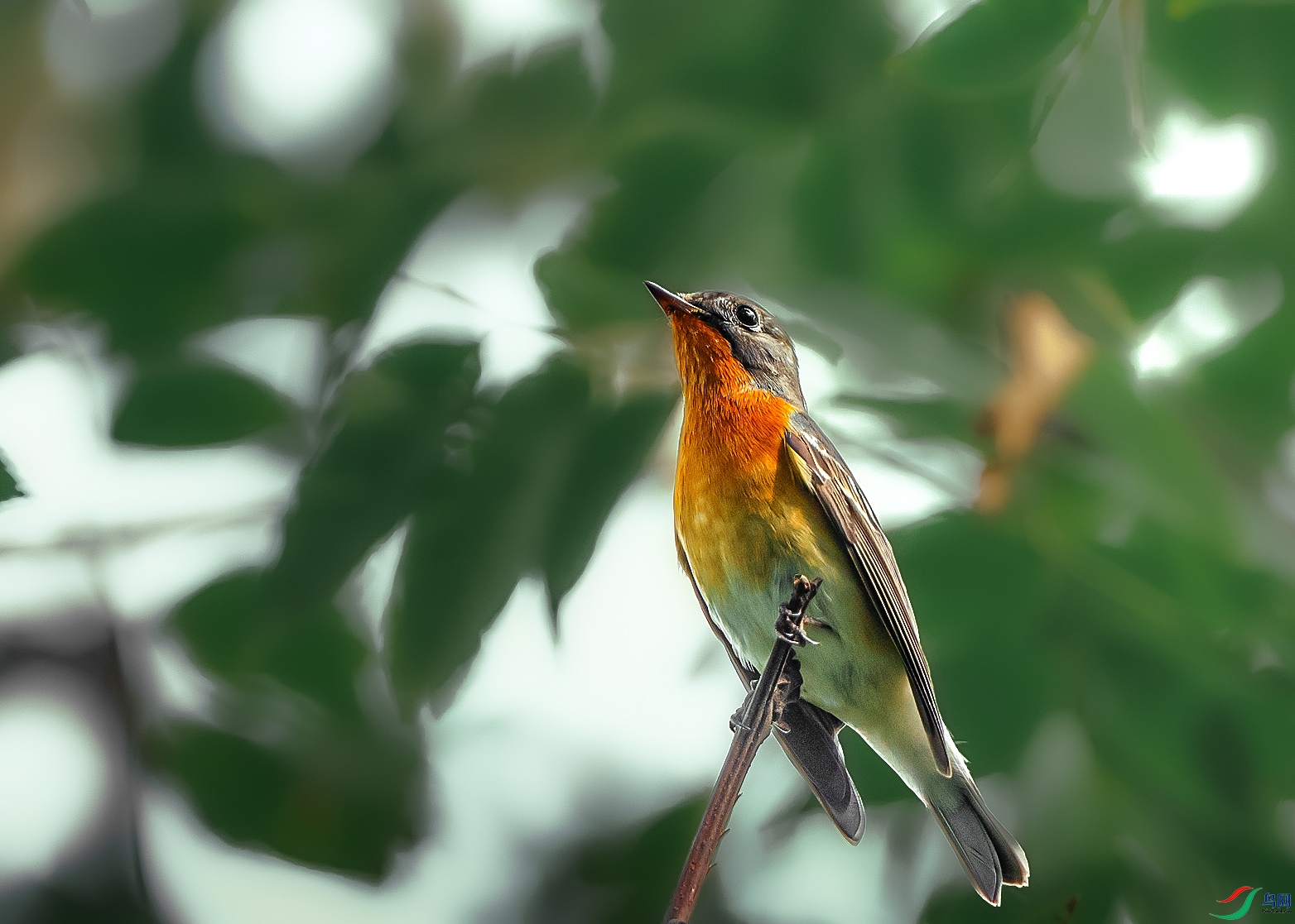 DSC_1337.jpg