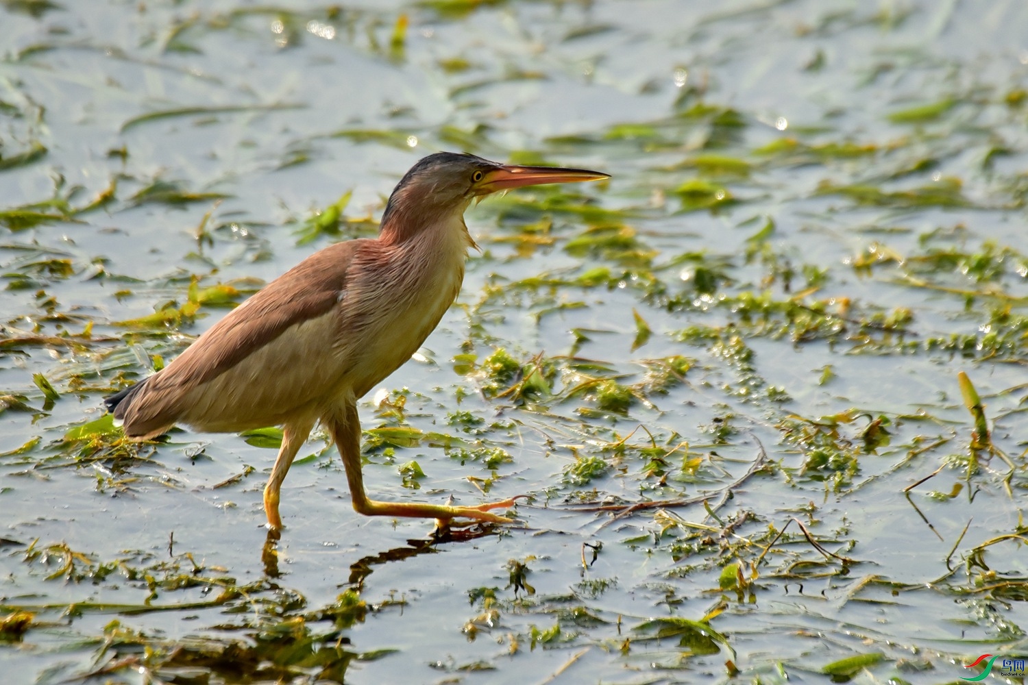 DSC_8902.JPG