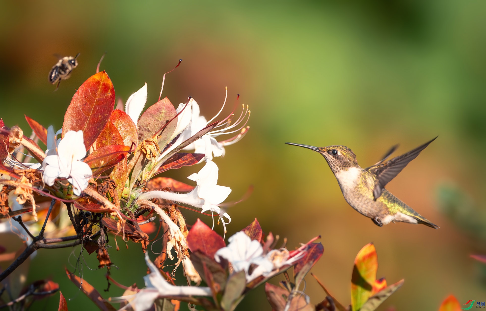 _DSC2593 ���� 2.jpg