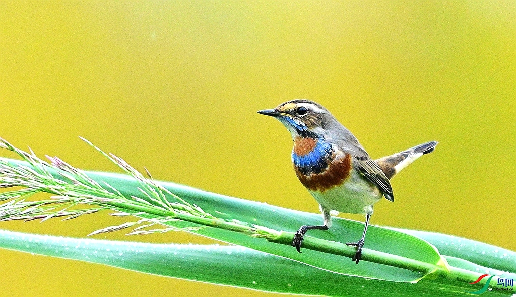 DSC_2727.JPG