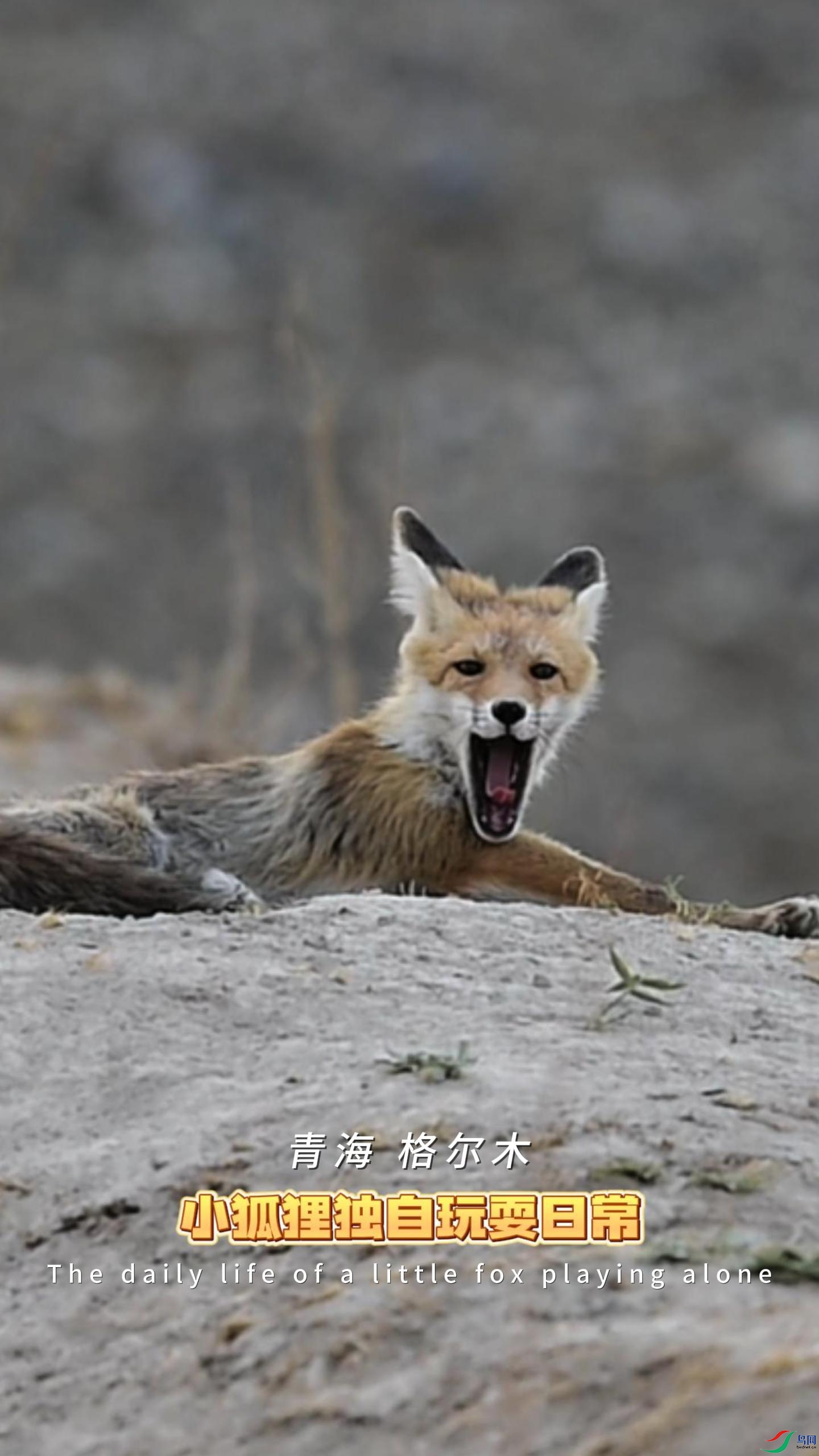 �ຣ ���ľ С���������ˣ���ճ�-����.jpg