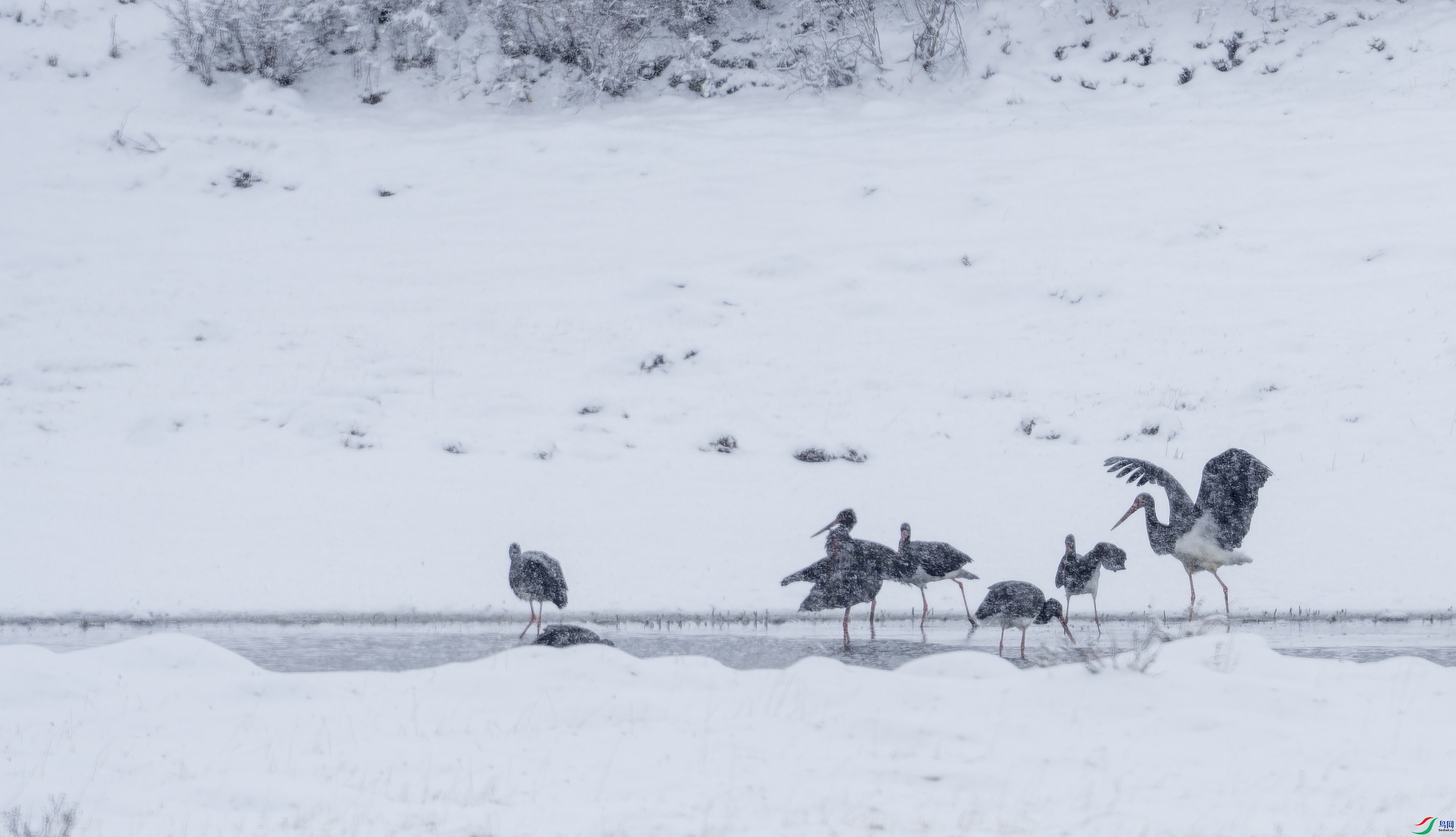 ���� (1)-01.jpg