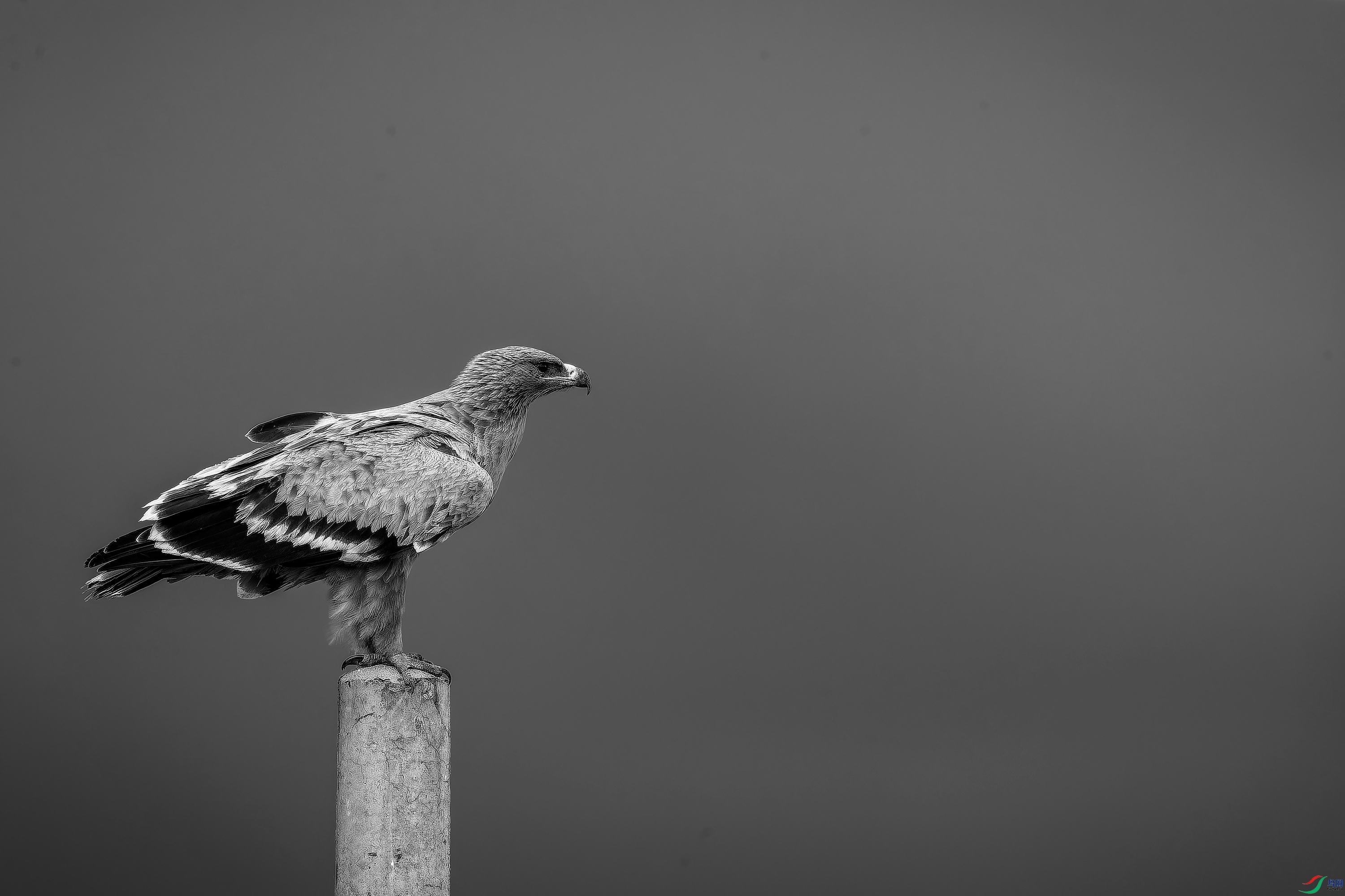 ��ԭ�� (45)-01.jpg