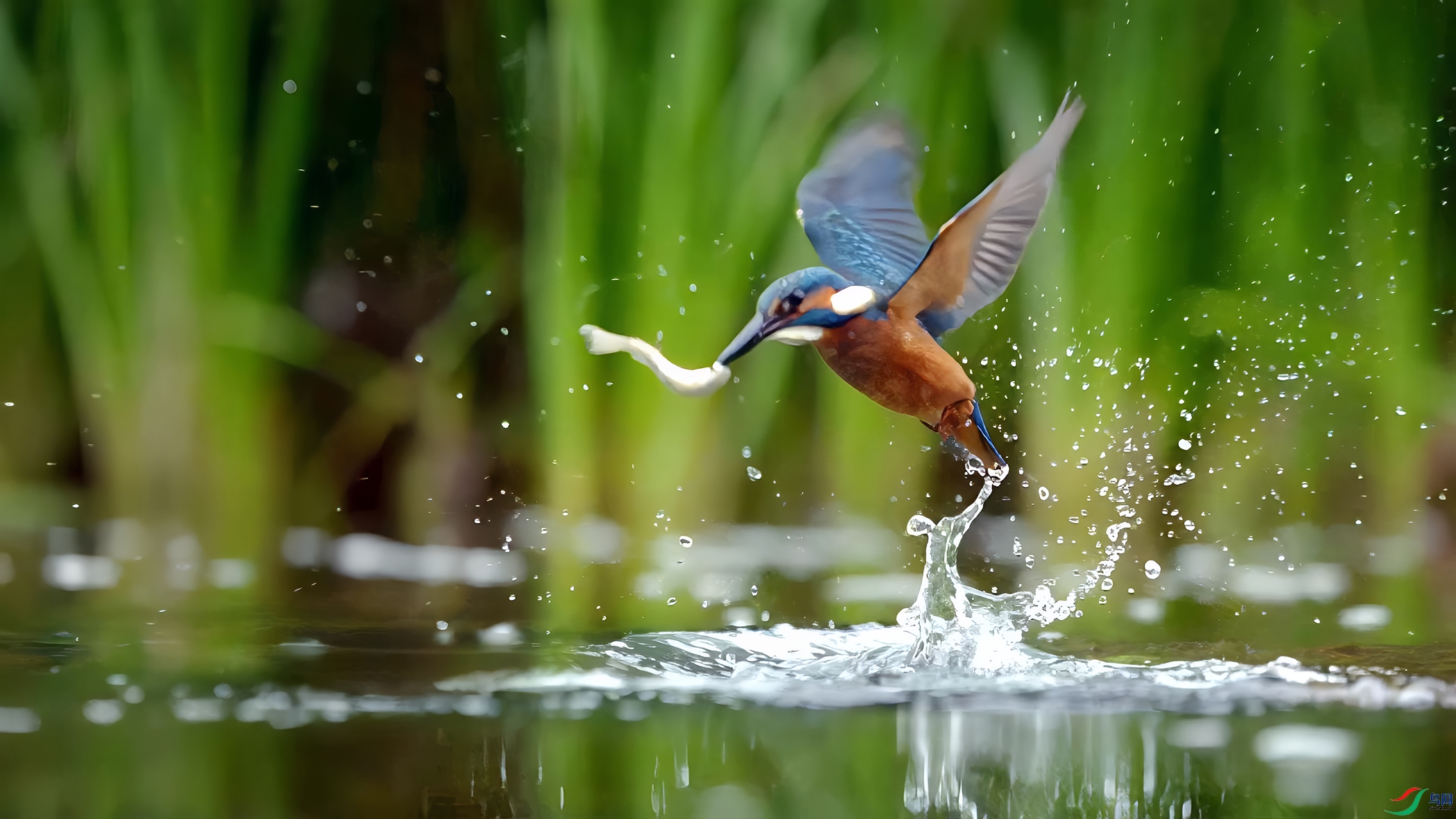 С������ˮץ��