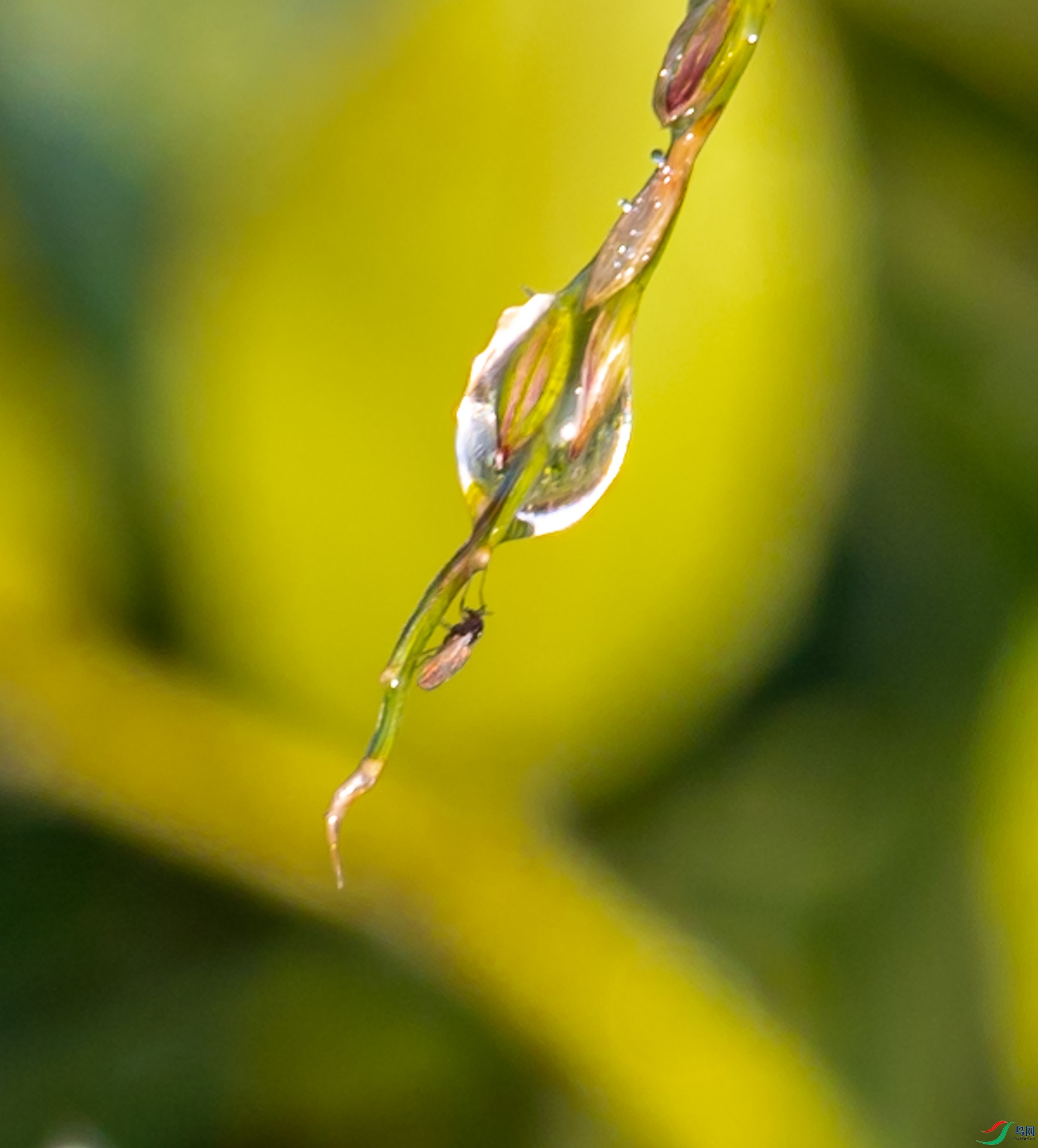 _J5A7143-5-2.jpg