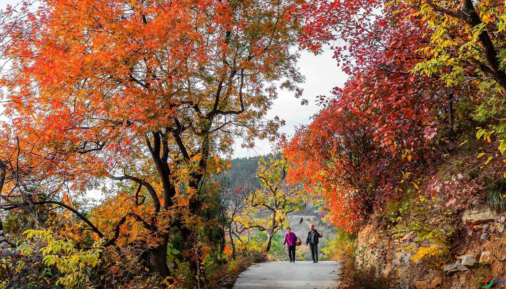 _I8A2972-1 - ����_����.jpg