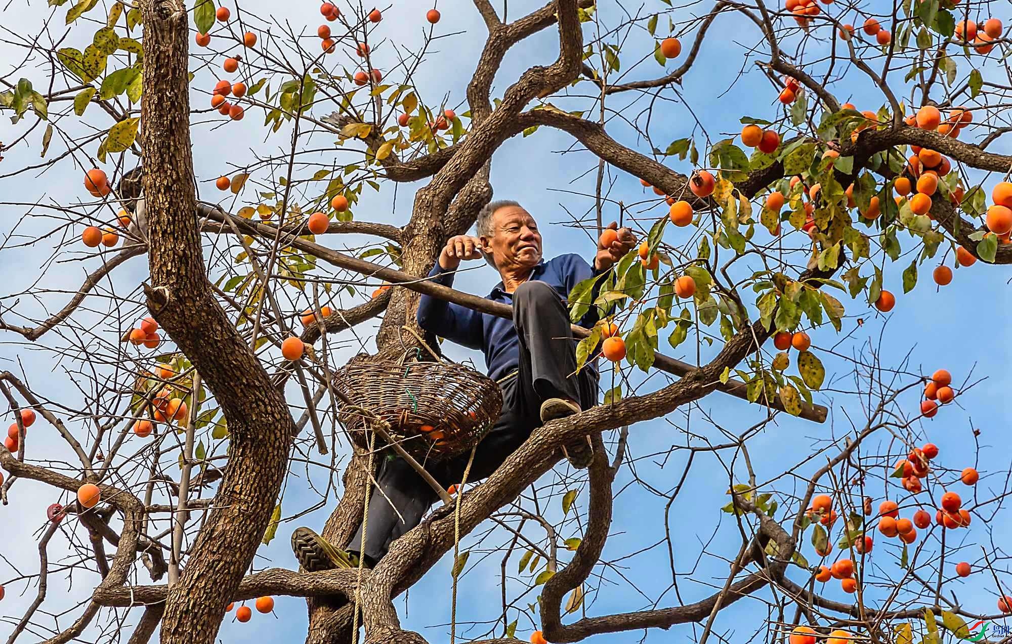 _I8A2929-1 - ����_����.jpg