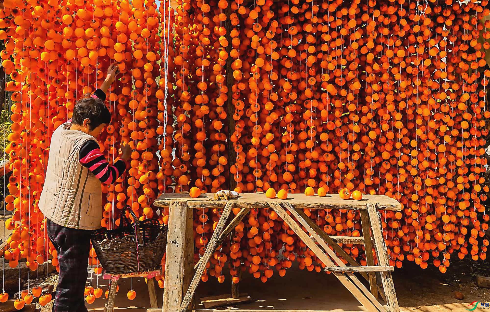 _I8A2688-1 - ����_����.jpg