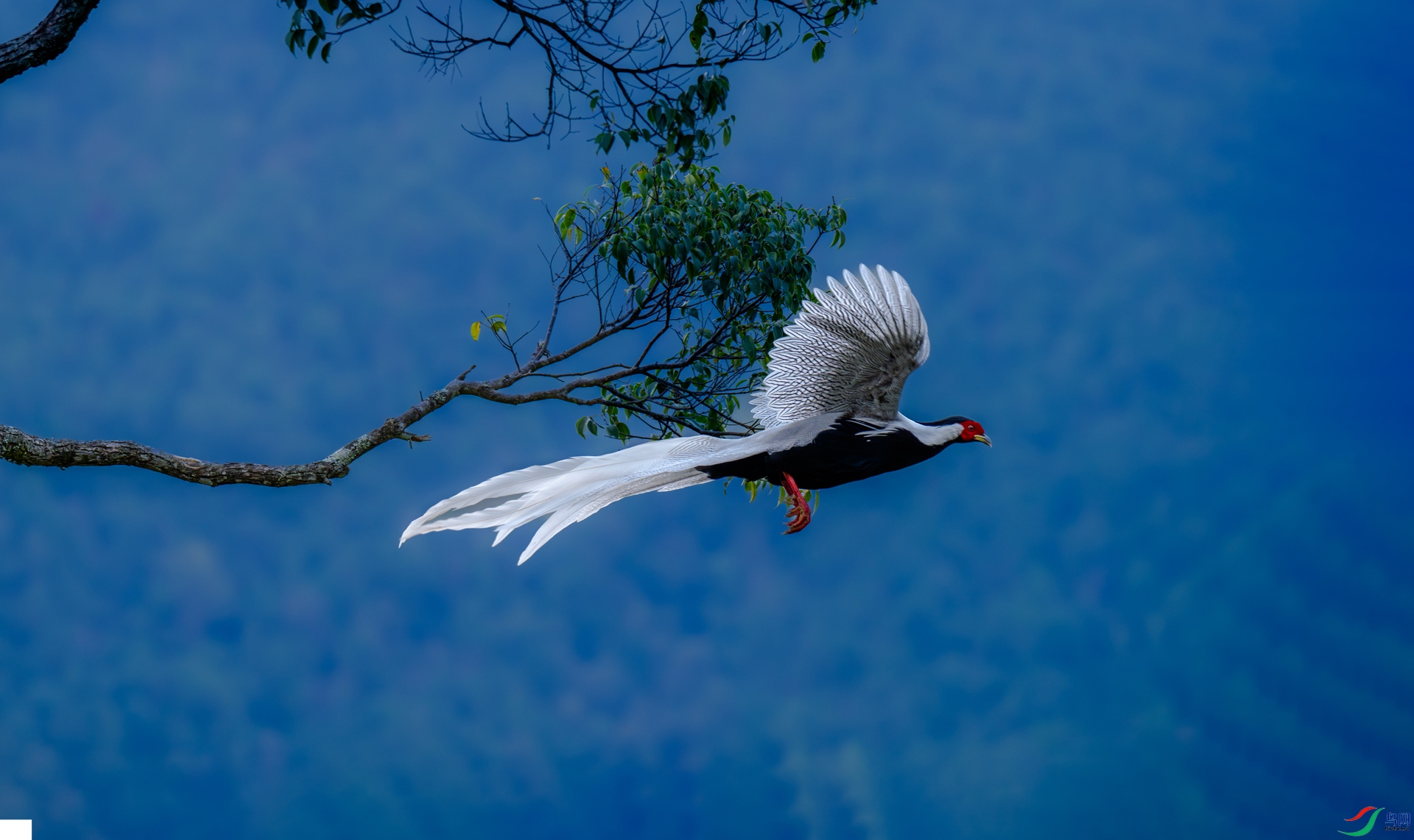 ɳ��� ���789�����ѩβ̤���֡�.jpg