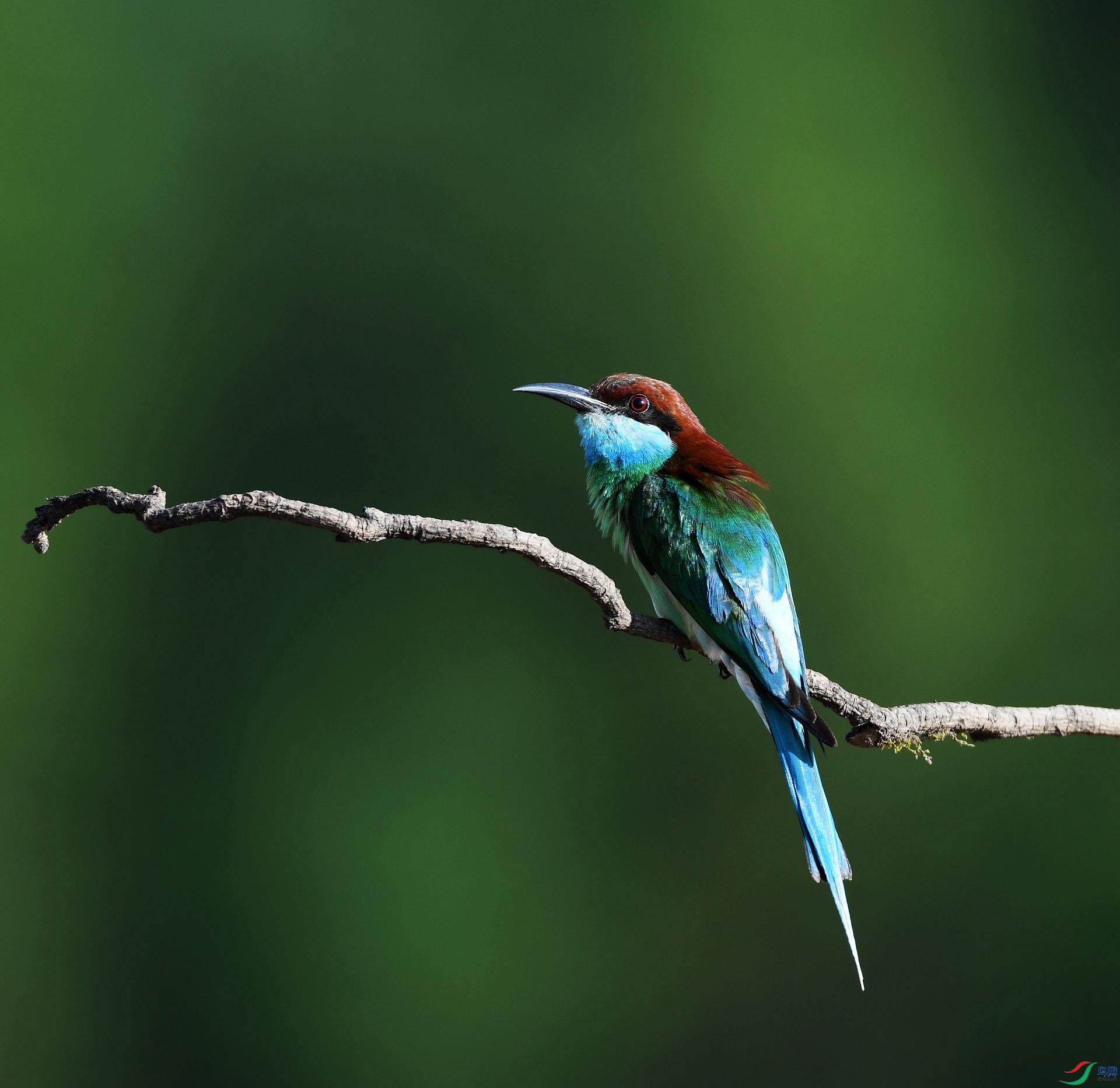 DSC_4377.jpg