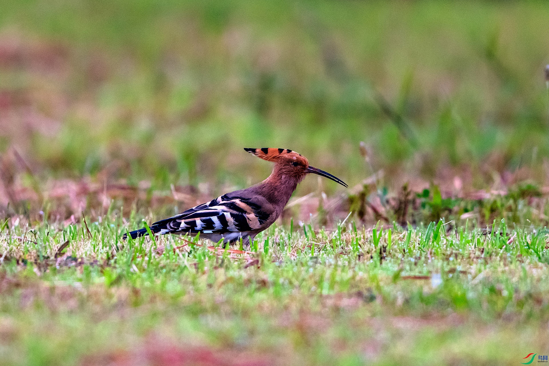 _AUU0143 ��ʤ(25.9.22).jpg