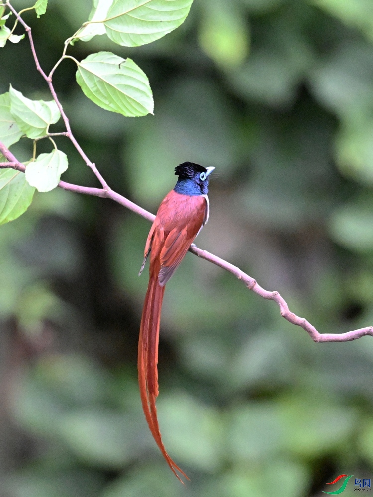 DSC_6526.JPG