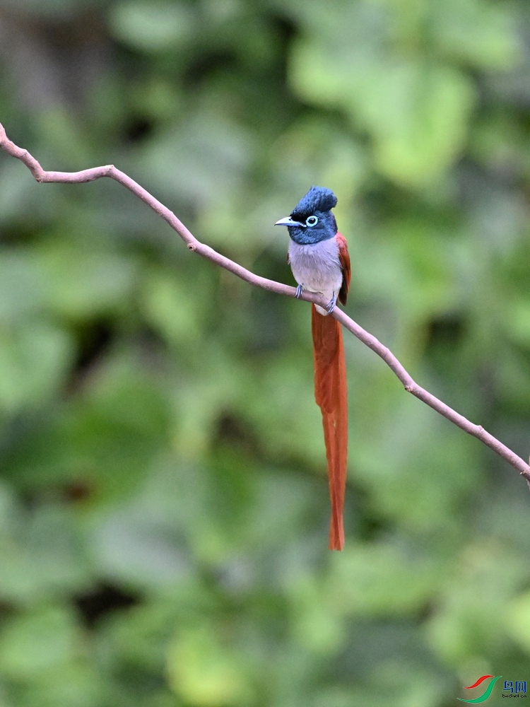 DSC_6551.JPG
