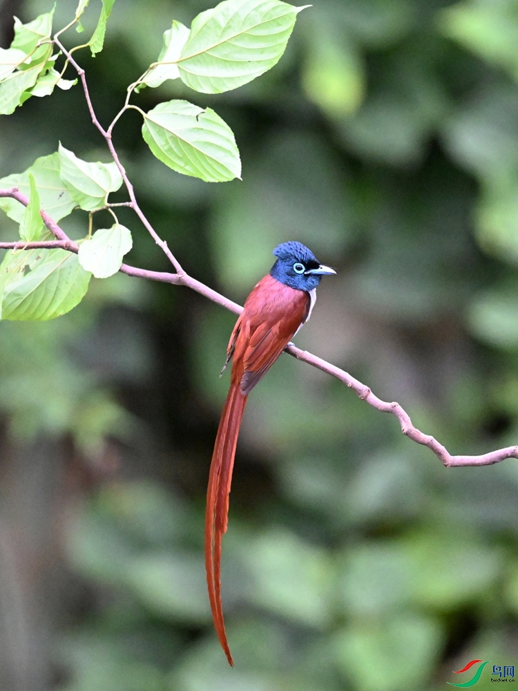 DSC_6539.JPG