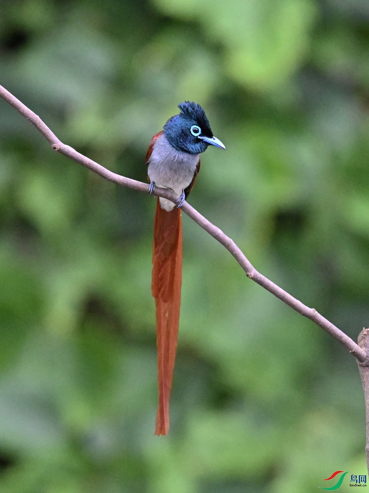 DSC_6555.JPG
