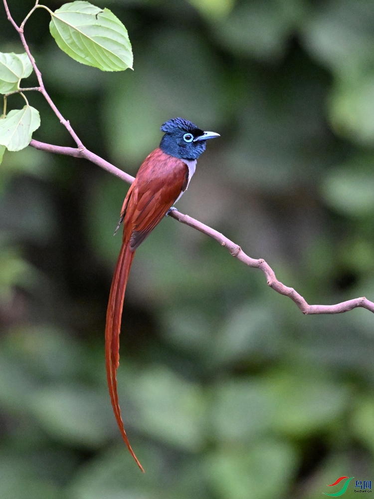 DSC_6541.JPG
