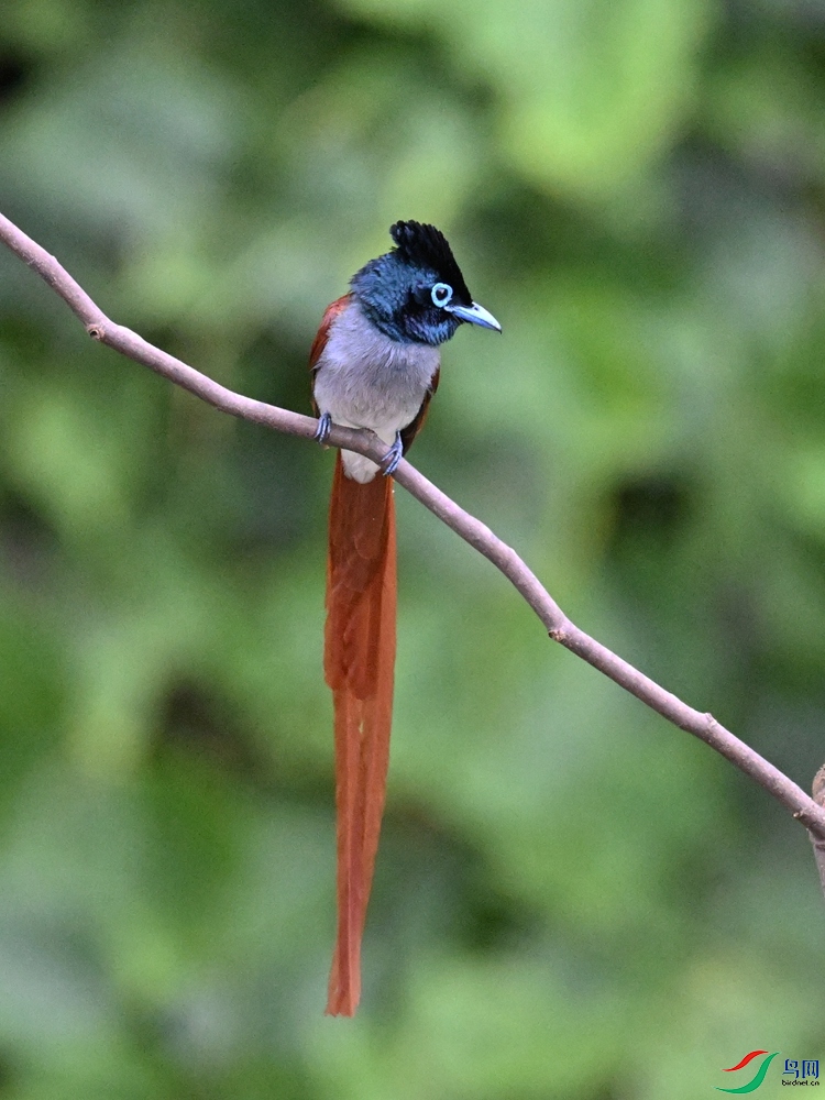DSC_6558.JPG