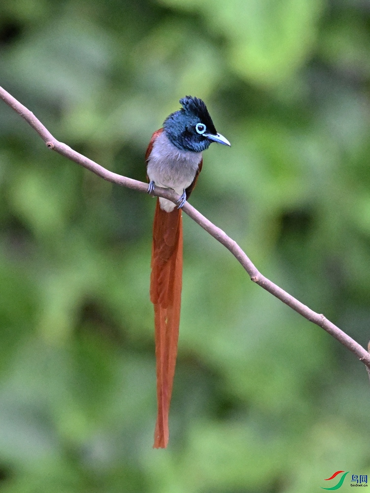 DSC_6557.JPG