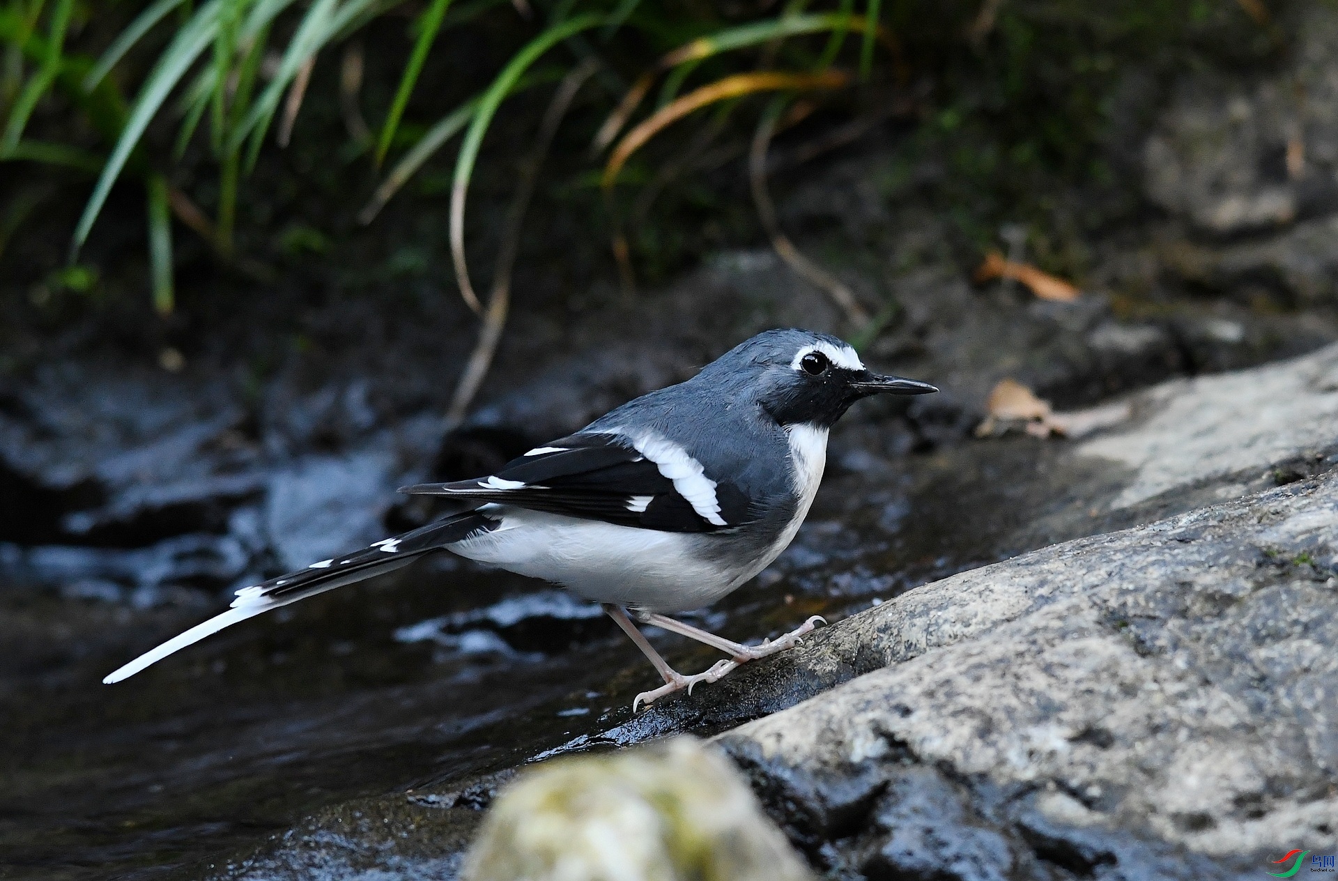 DSC_5699.jpg