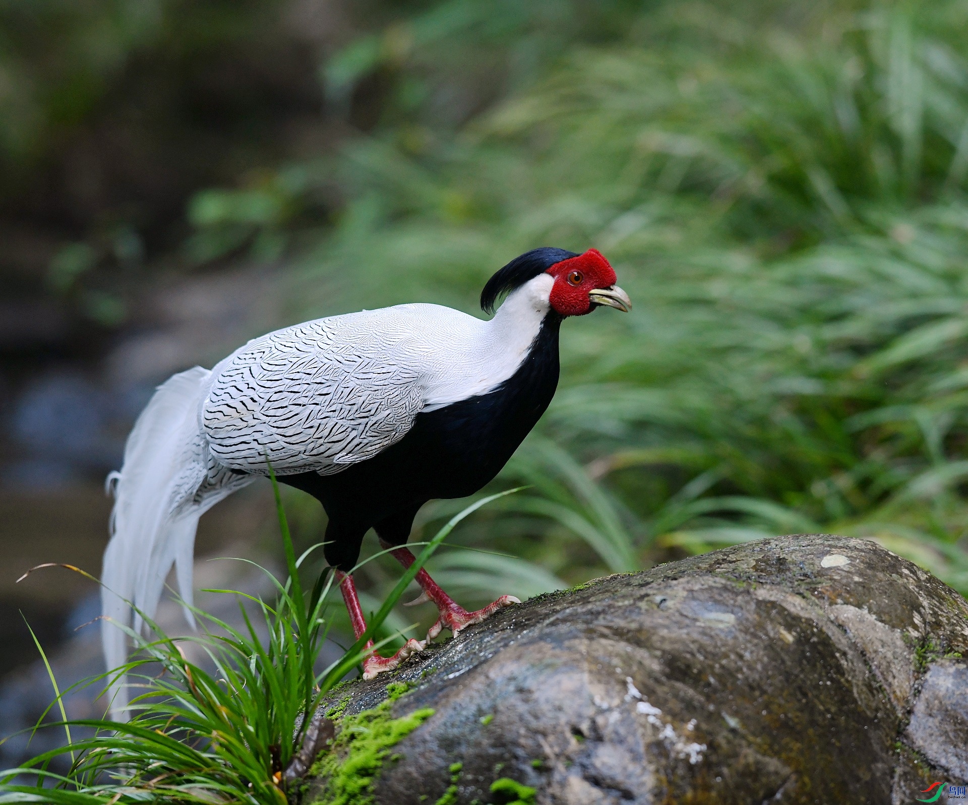 DSC_4979.jpg