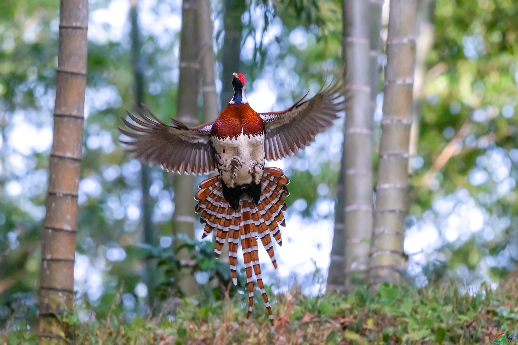 093��ӭ�������������  ��ɽ����.jpg