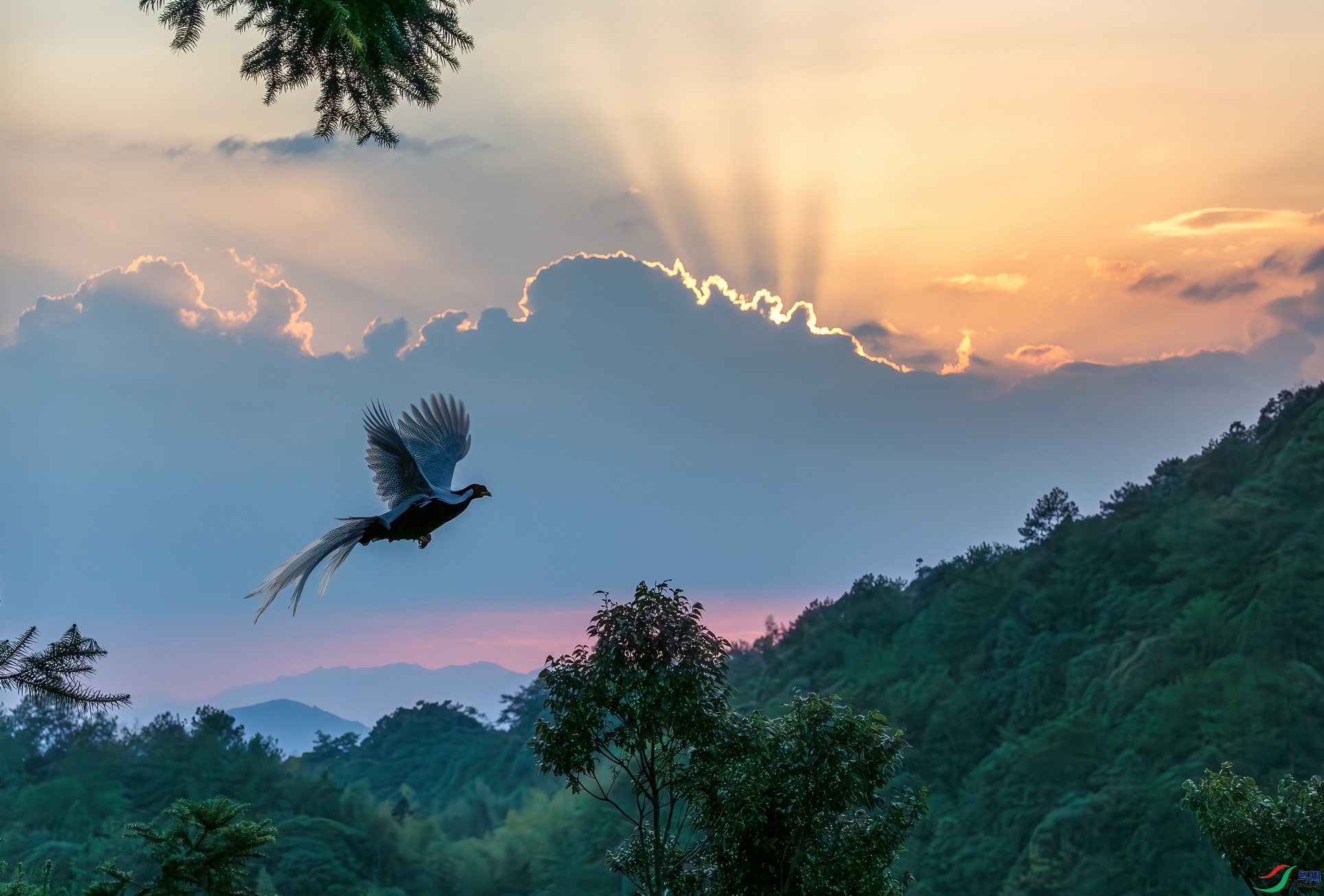 106.����ӳ���-������   �����״�����.jpg