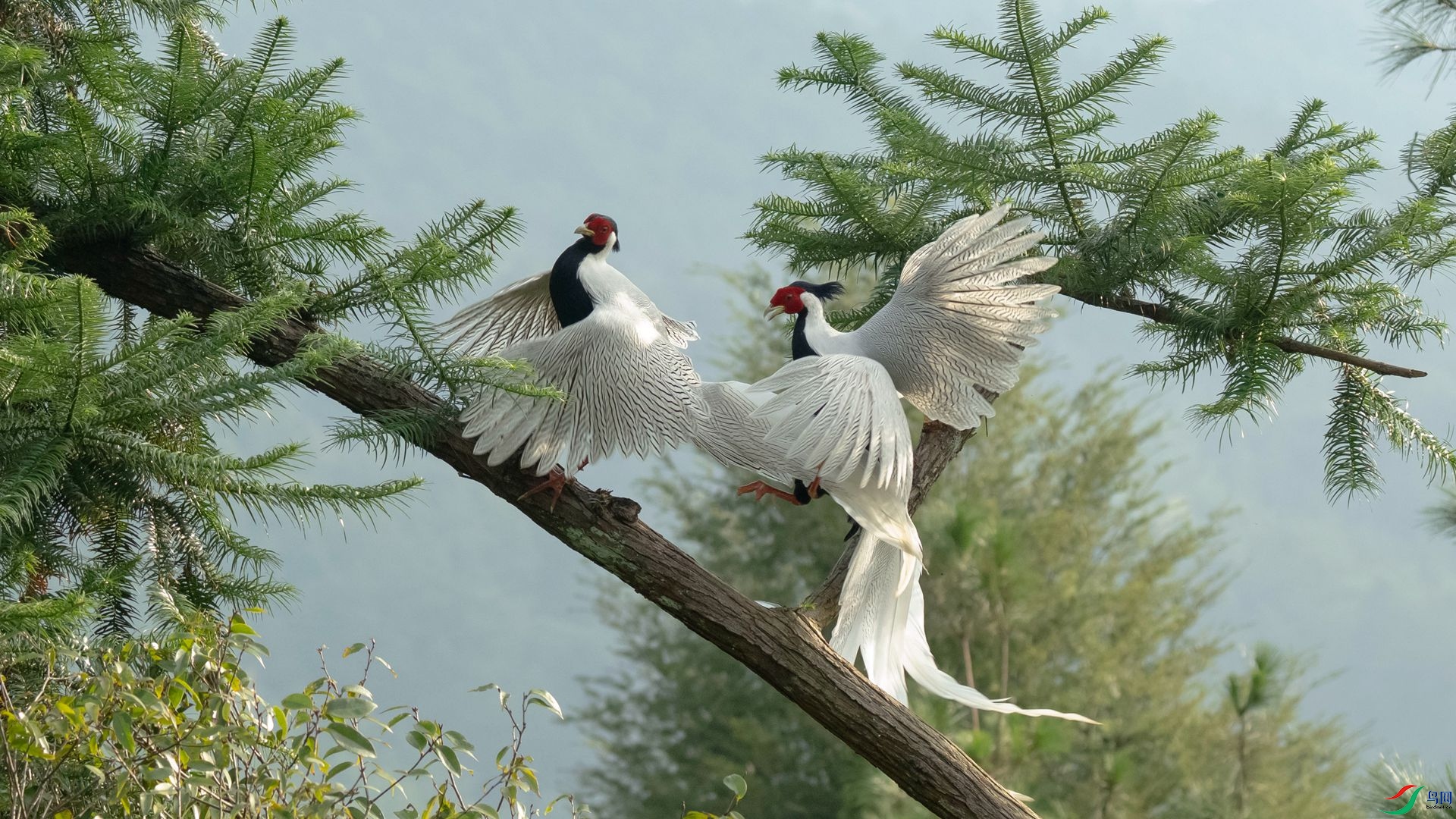 311.���� ������ �����ү.jpg