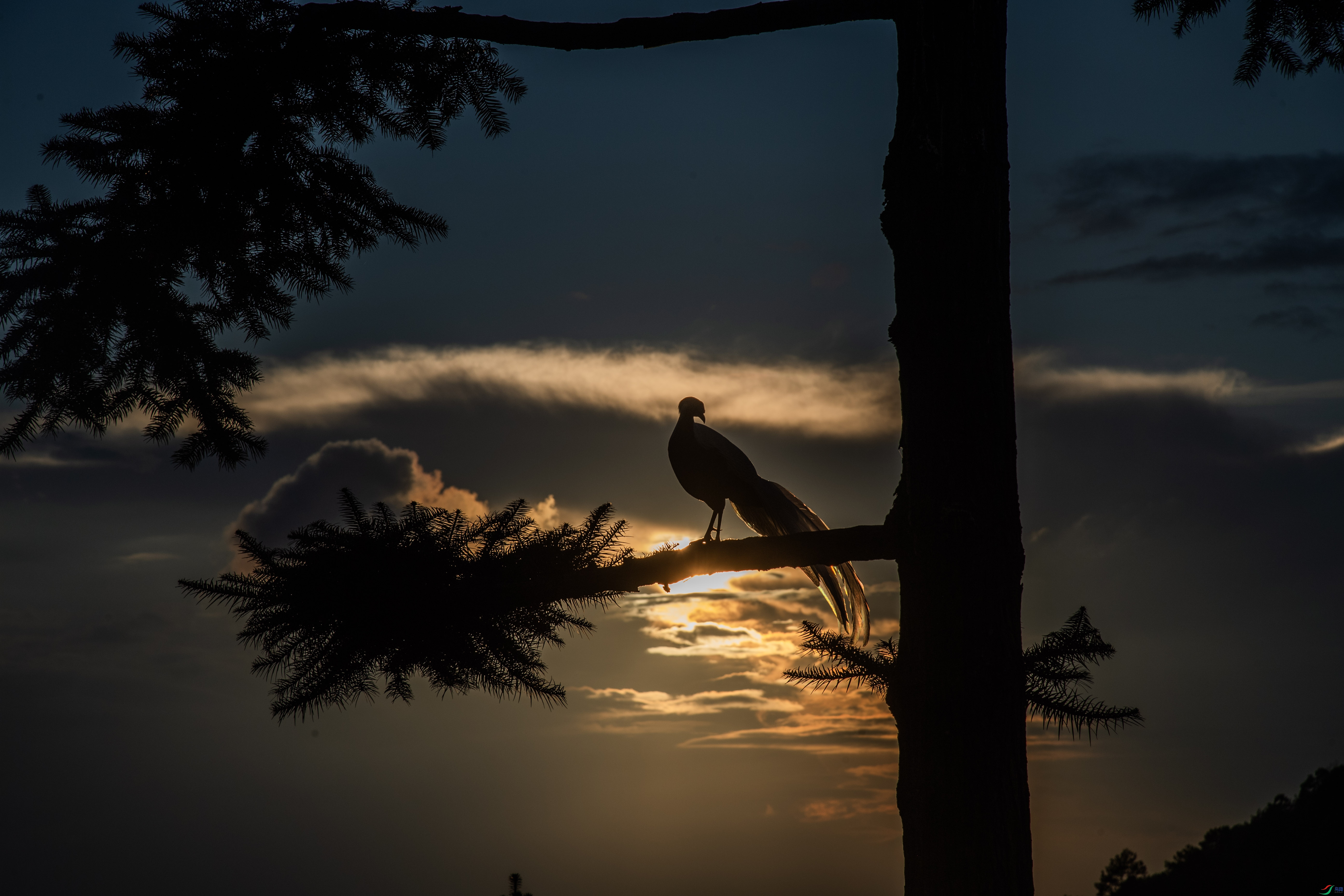 170.��ױ      �¿�������.jpg