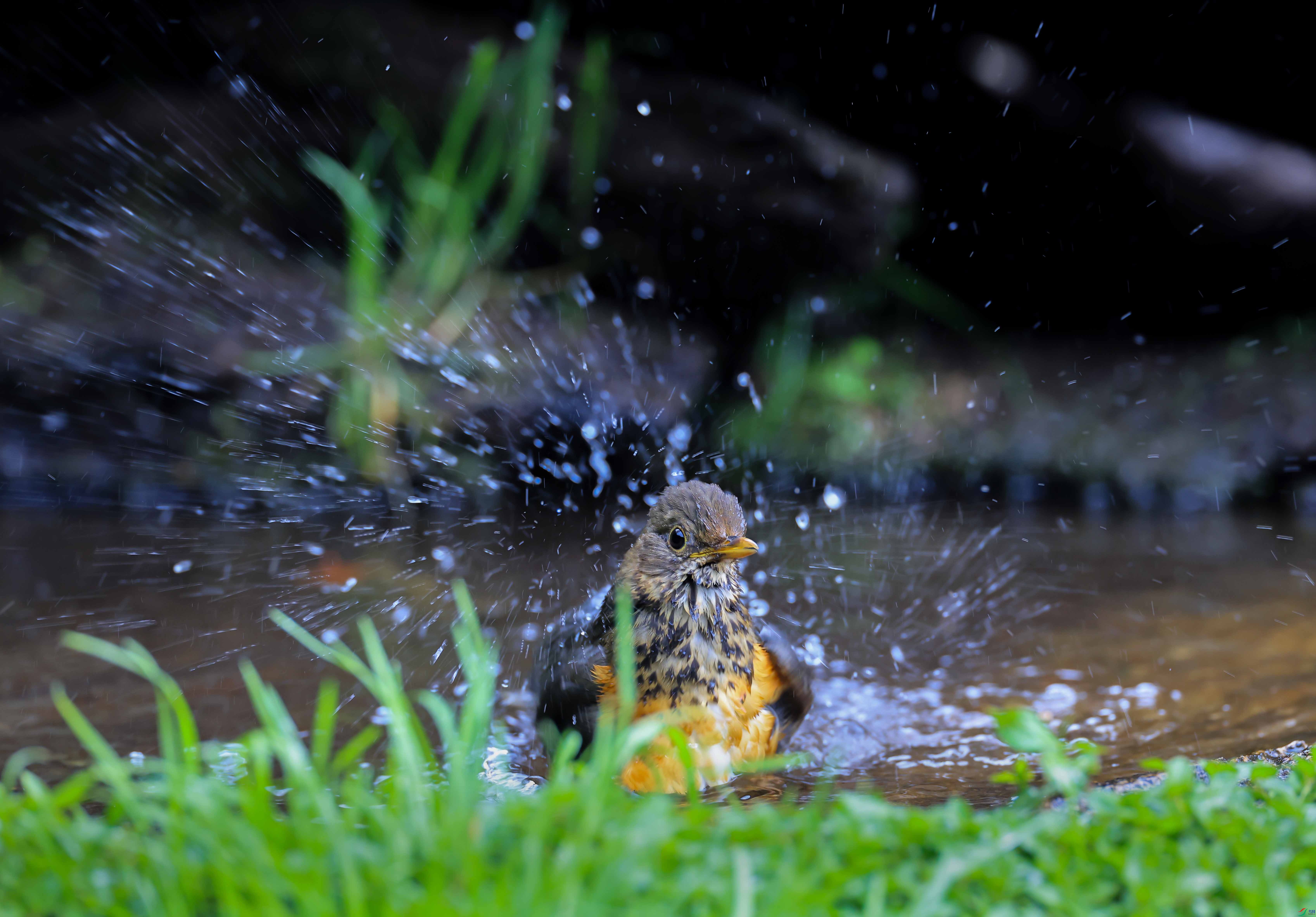 1-xt4L2A3251 ����.jpg