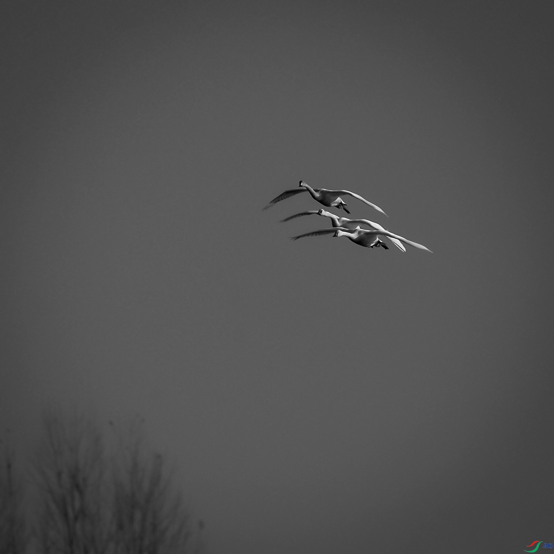 DSC_5477.jpg