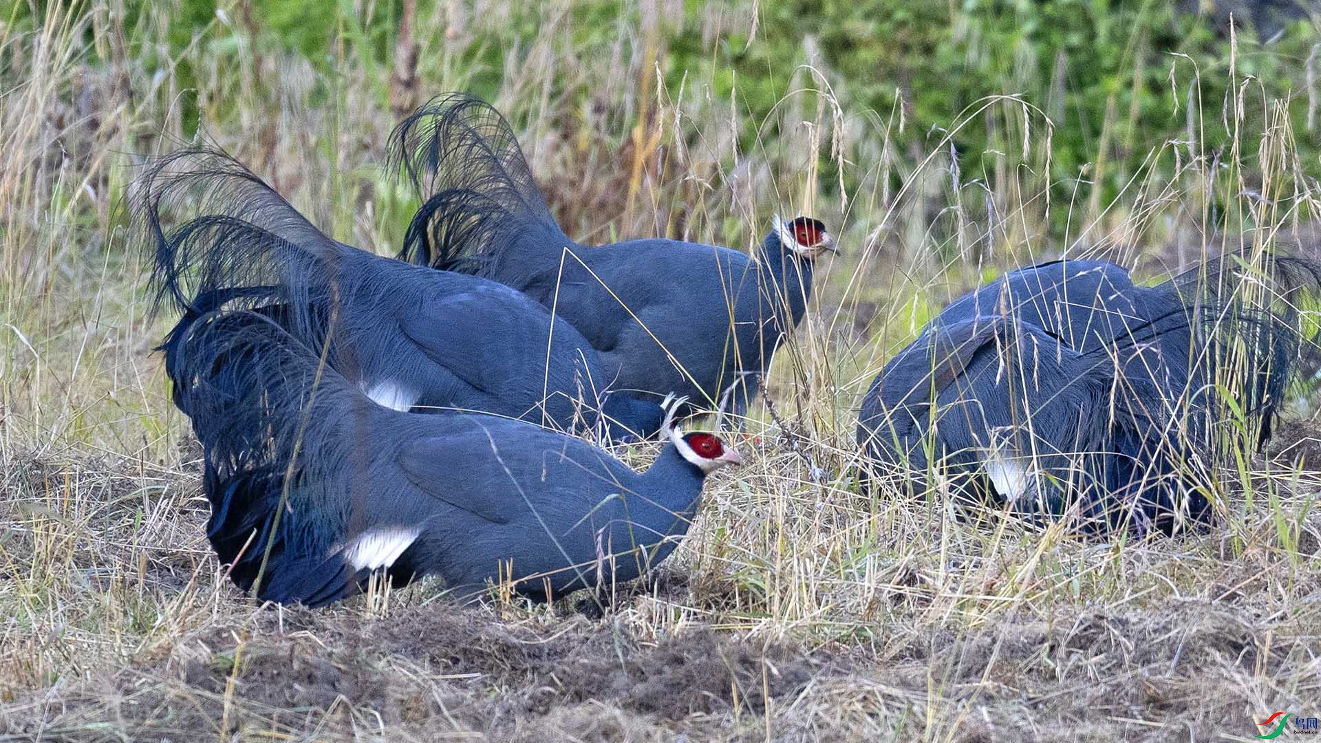 DSC_1860 ����.jpg