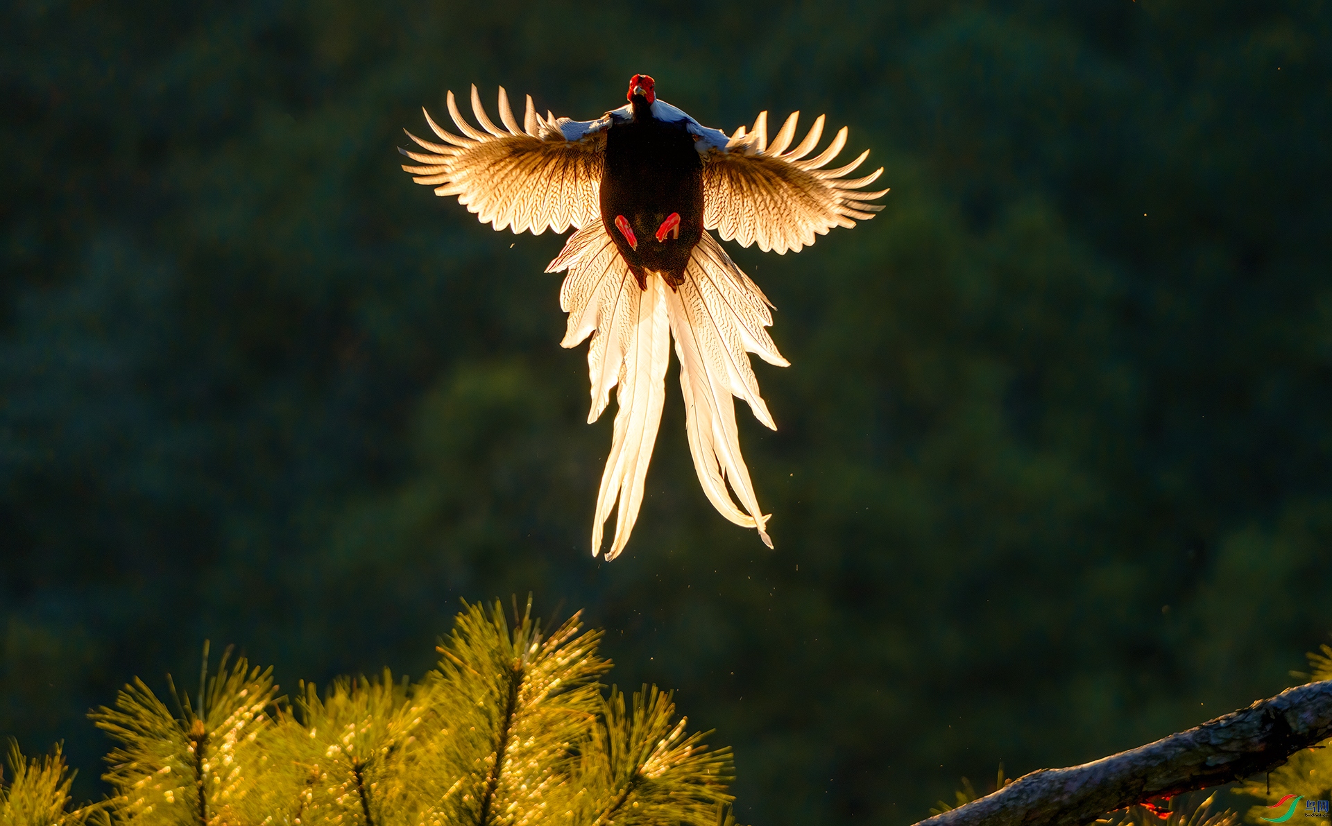 282.������ ������ �������˺���.jpg