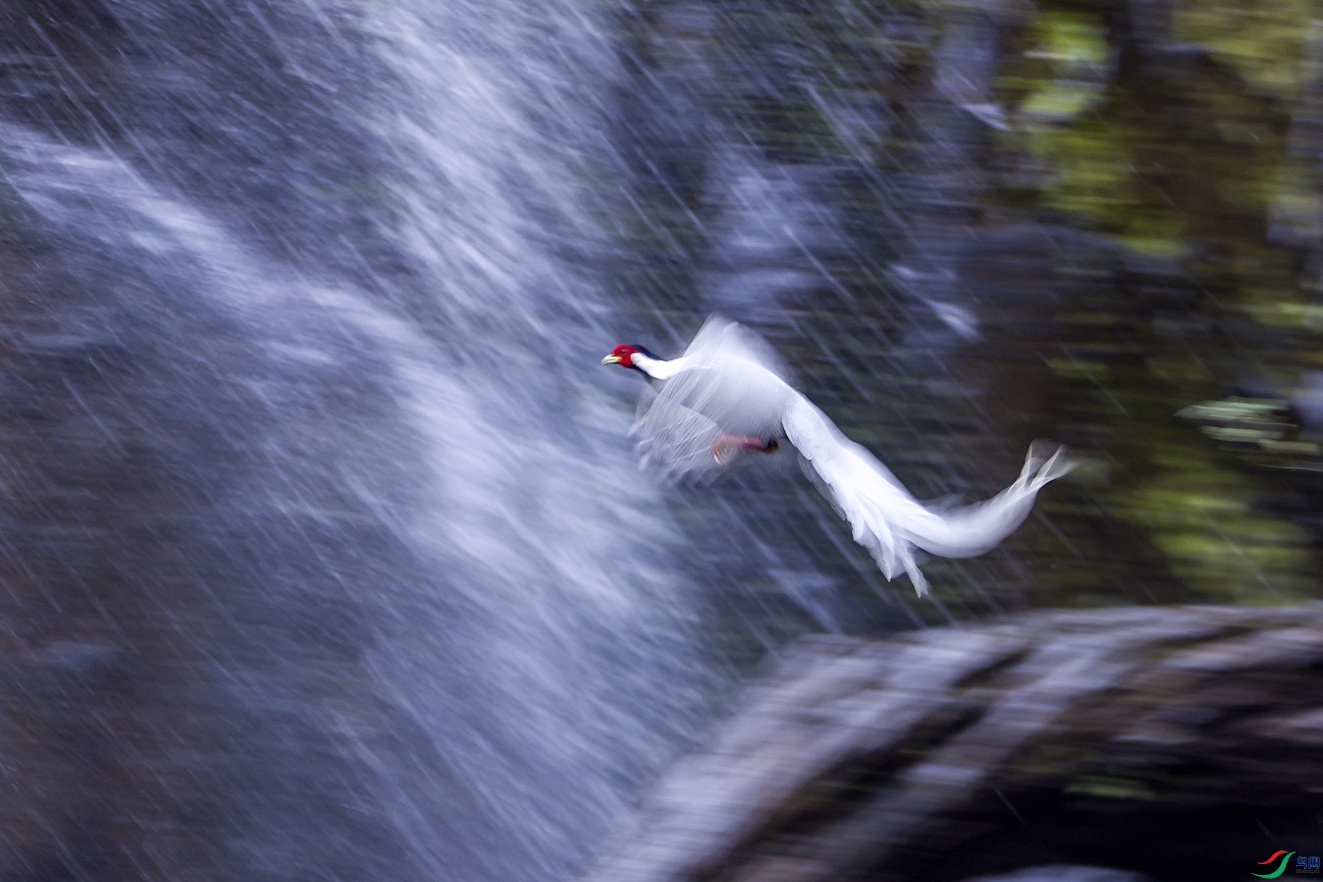 �������� ������ �཭��L .jpg