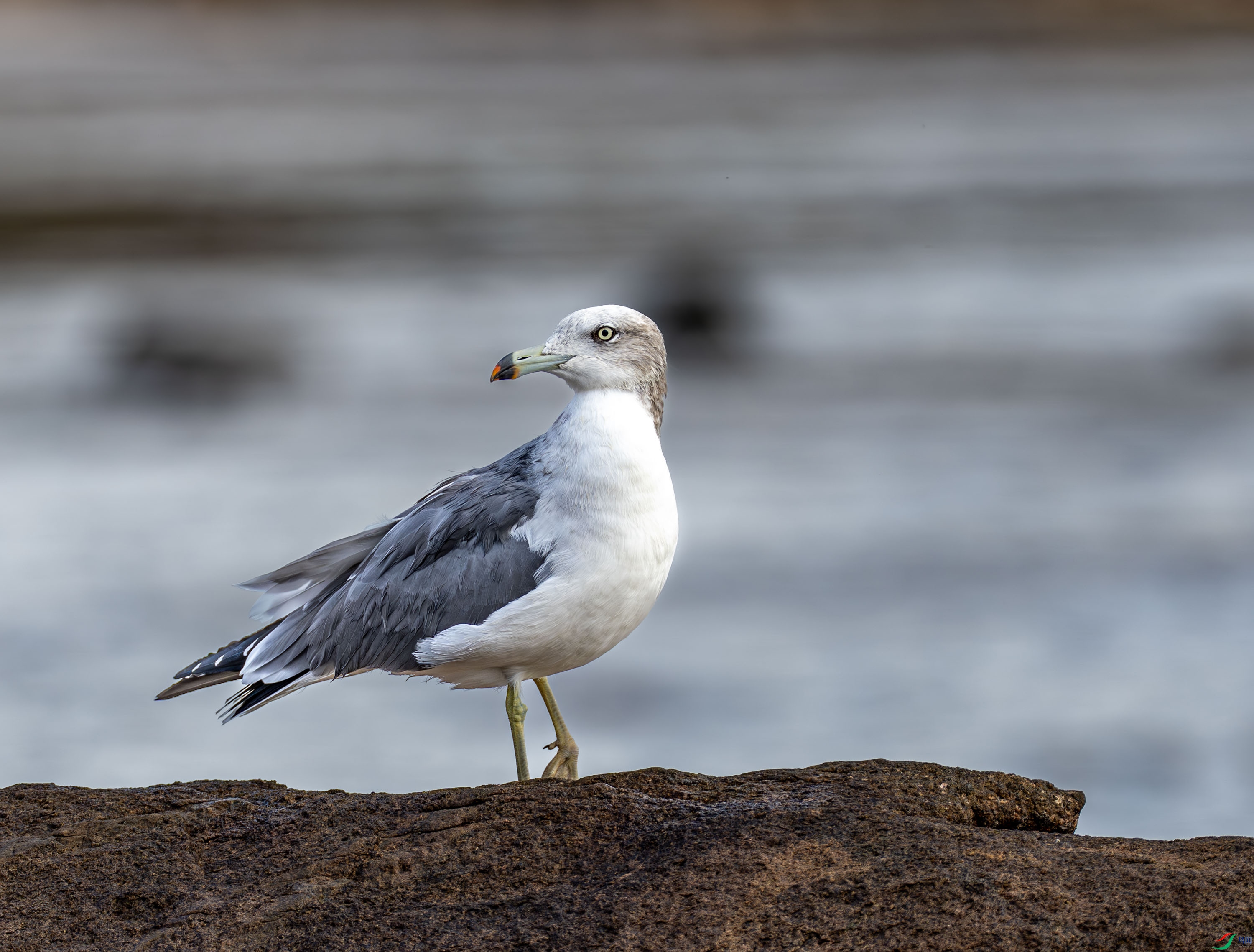 ��βŸ -02-4.jpg