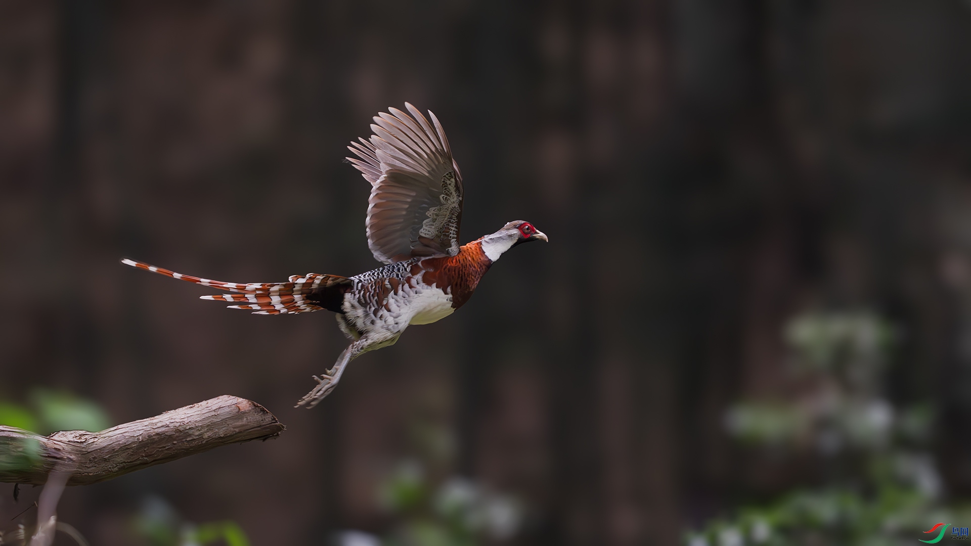 ��ɣ��������С�׺�DSC6777 ����.jpg