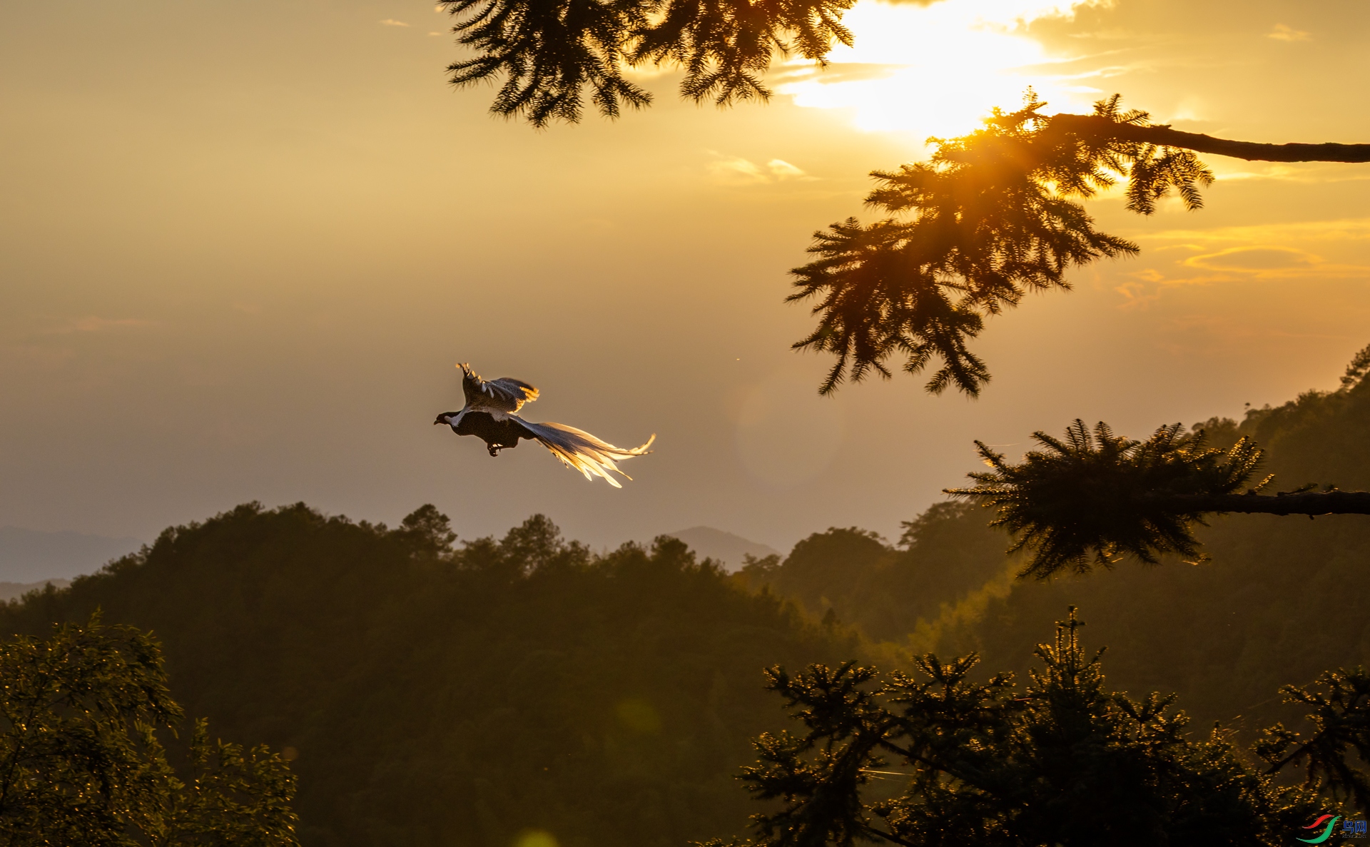 ɳ��� �����Ϧ�������Ρ�.jpg