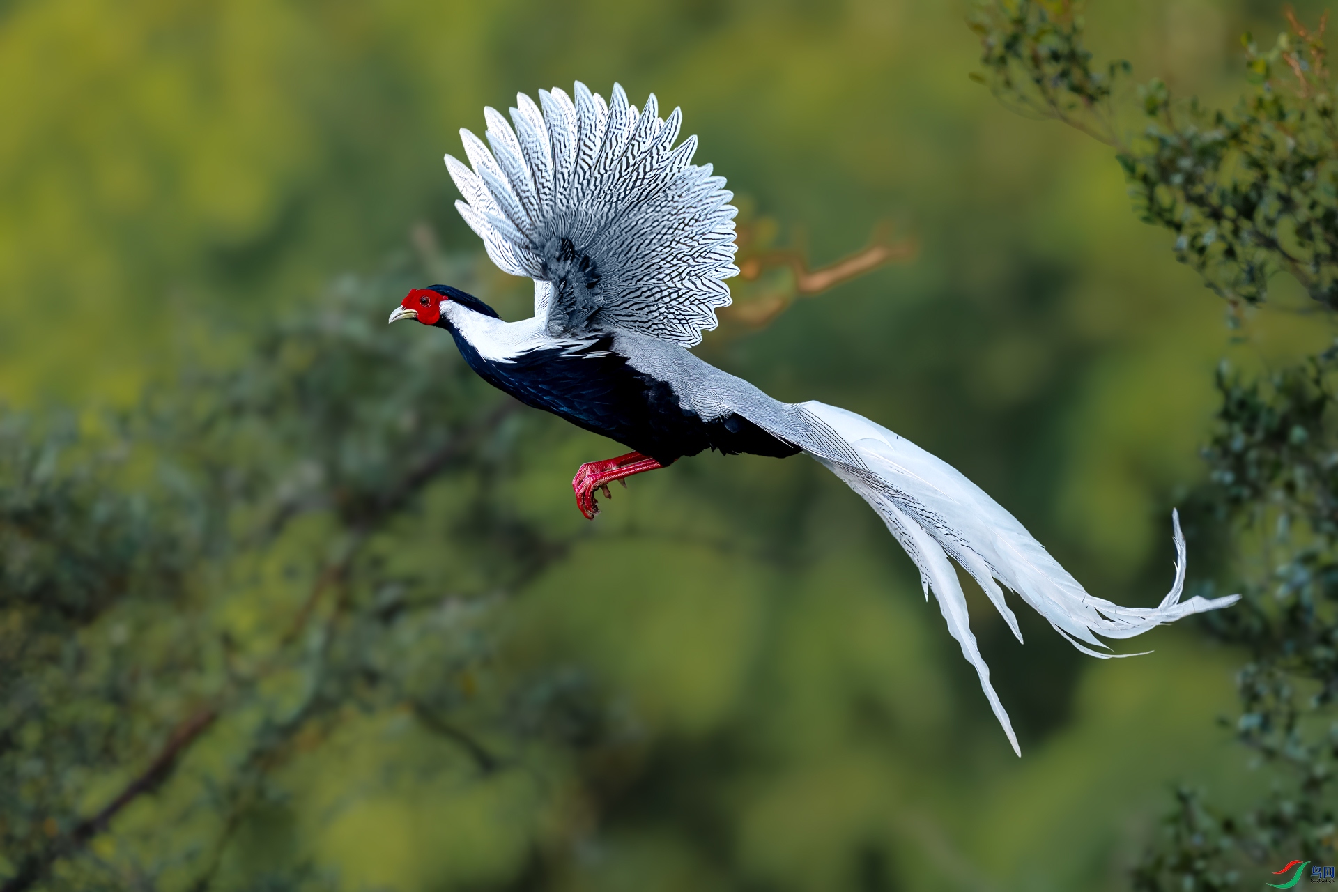 ɽҰ���� �ྱ�׶� ���п�.jpg