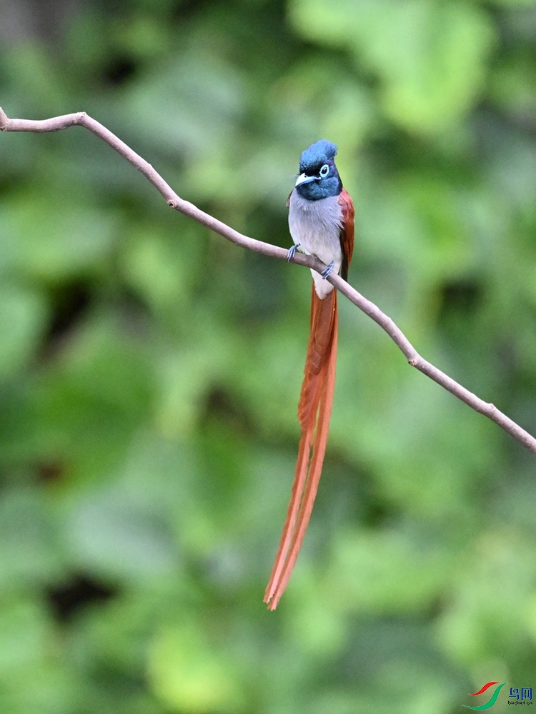 DSC_6567.JPG