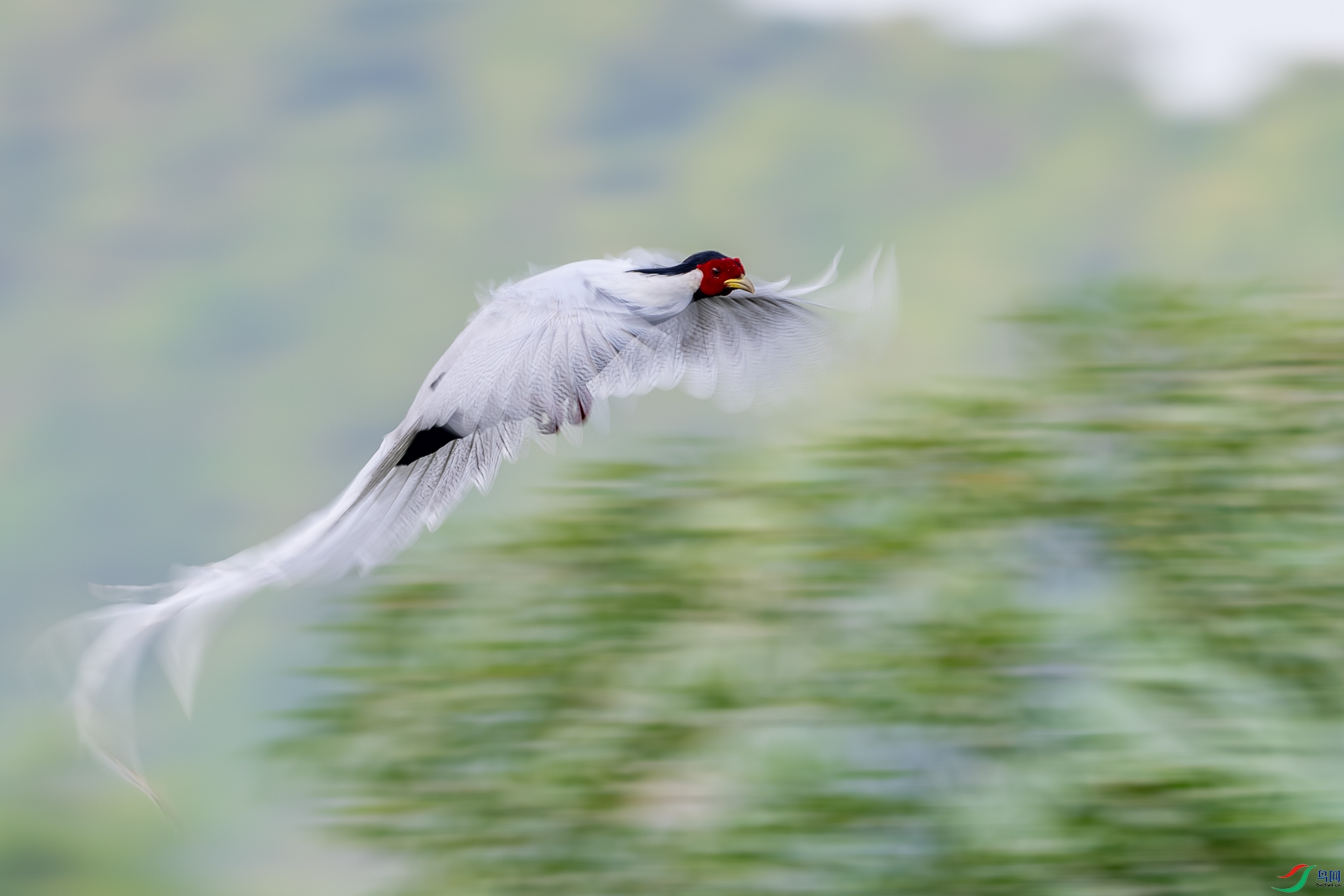 ���ɷ��� �ྱ�׶� qpwu2021.jpg