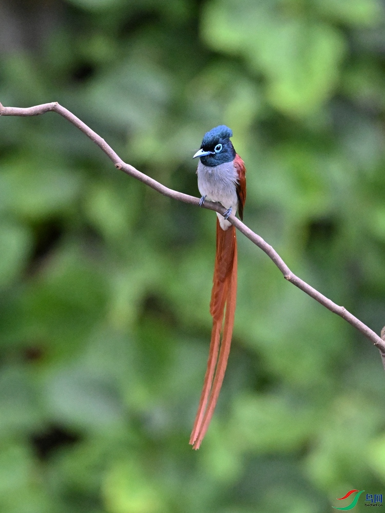 DSC_6571.JPG