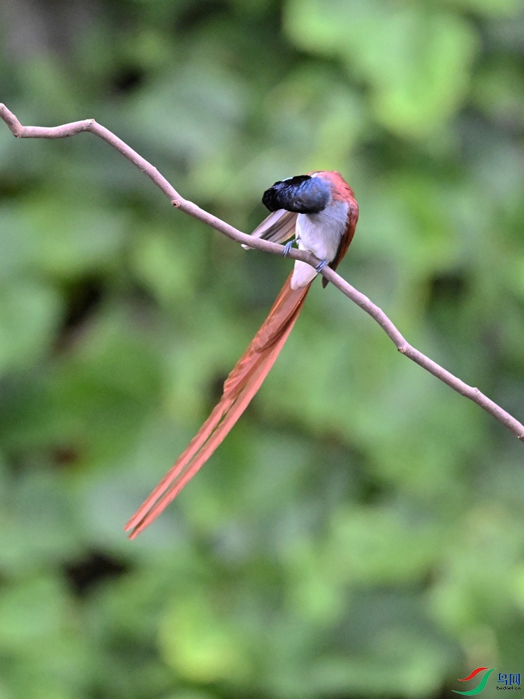 DSC_6563.JPG