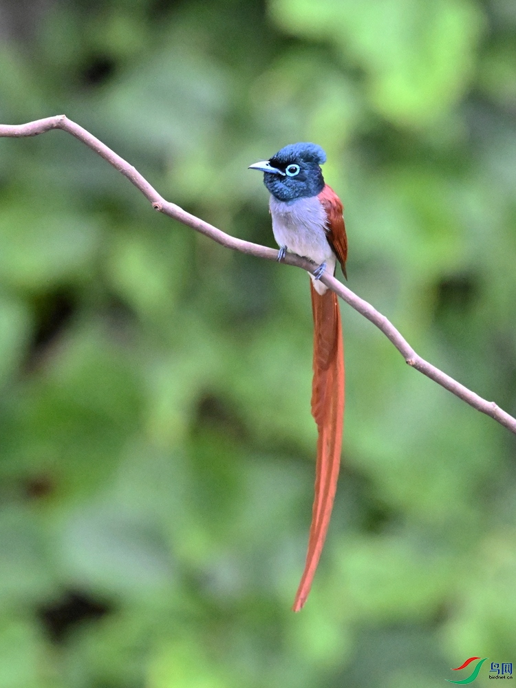 DSC_6577.JPG