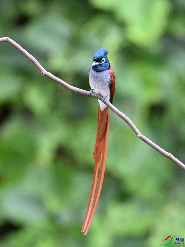 DSC_6568.JPG
