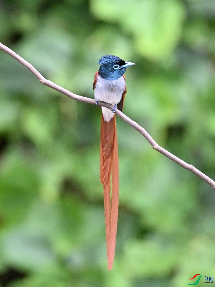 DSC_6581.JPG