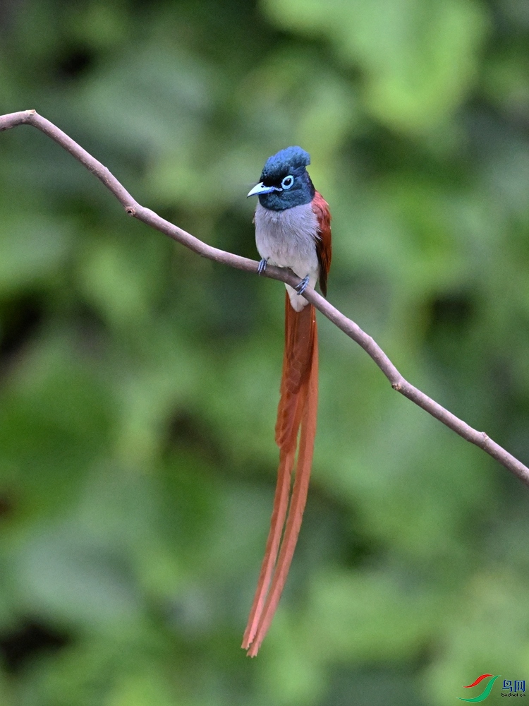DSC_6570.JPG