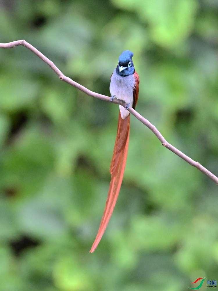 DSC_6572.JPG