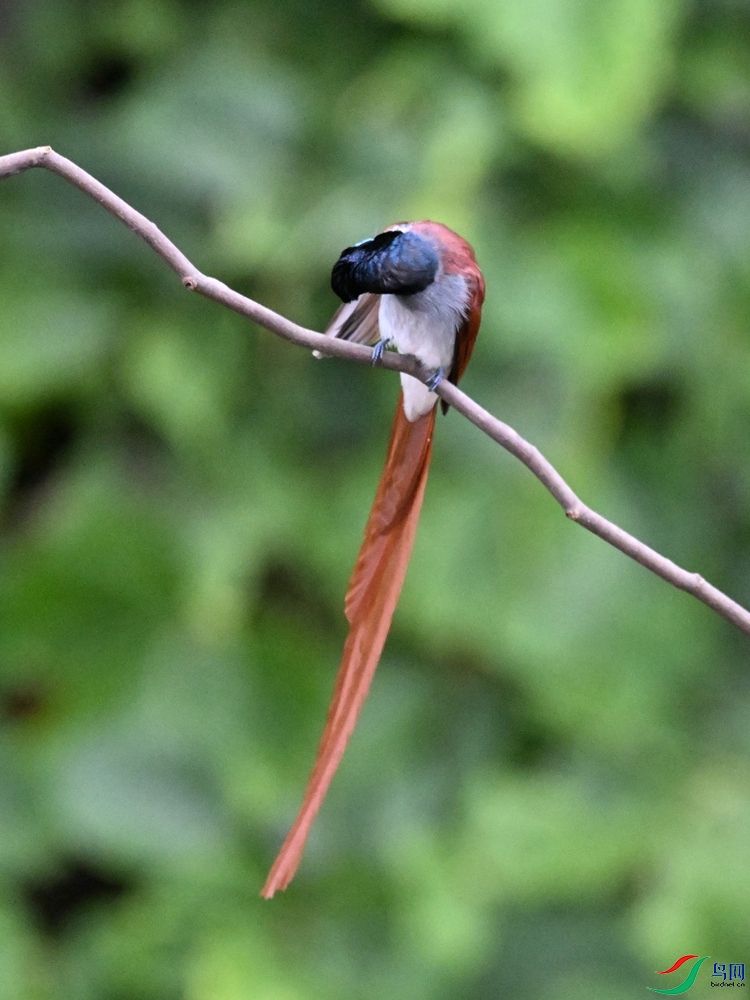 DSC_6578.JPG