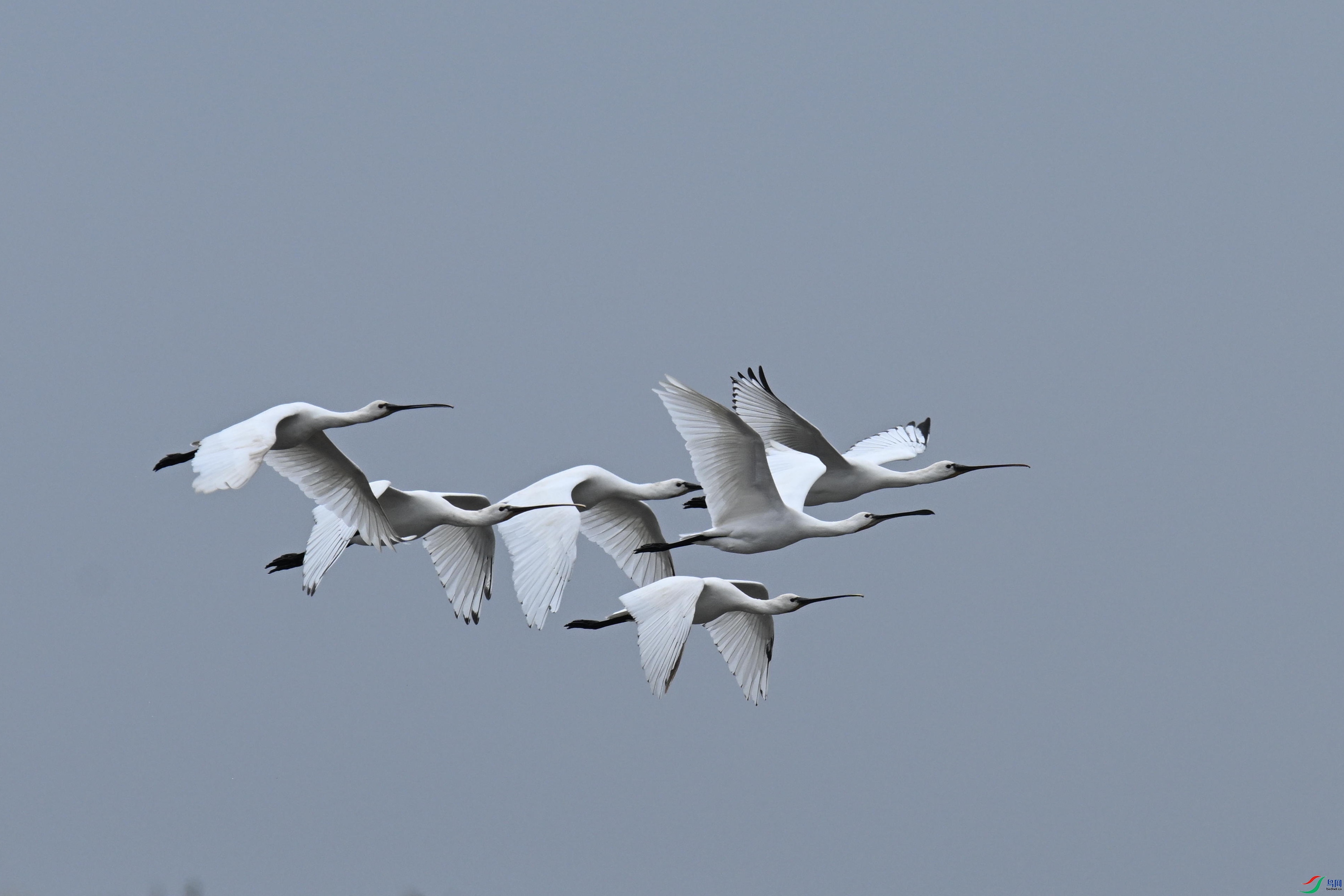 ������ (14).jpg