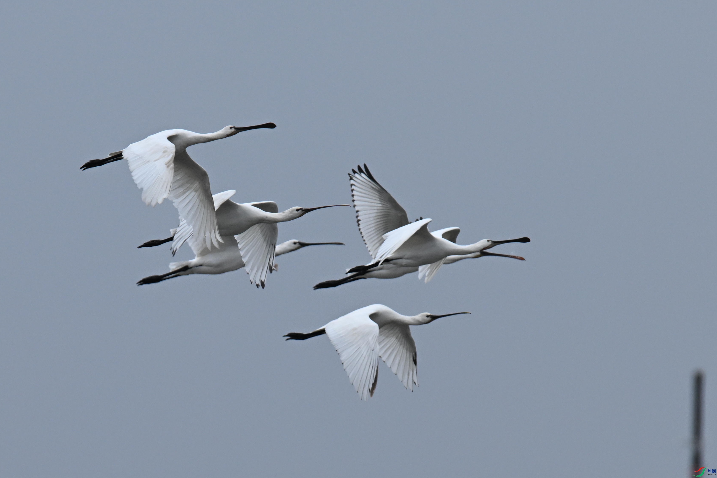 ������ (23).jpg